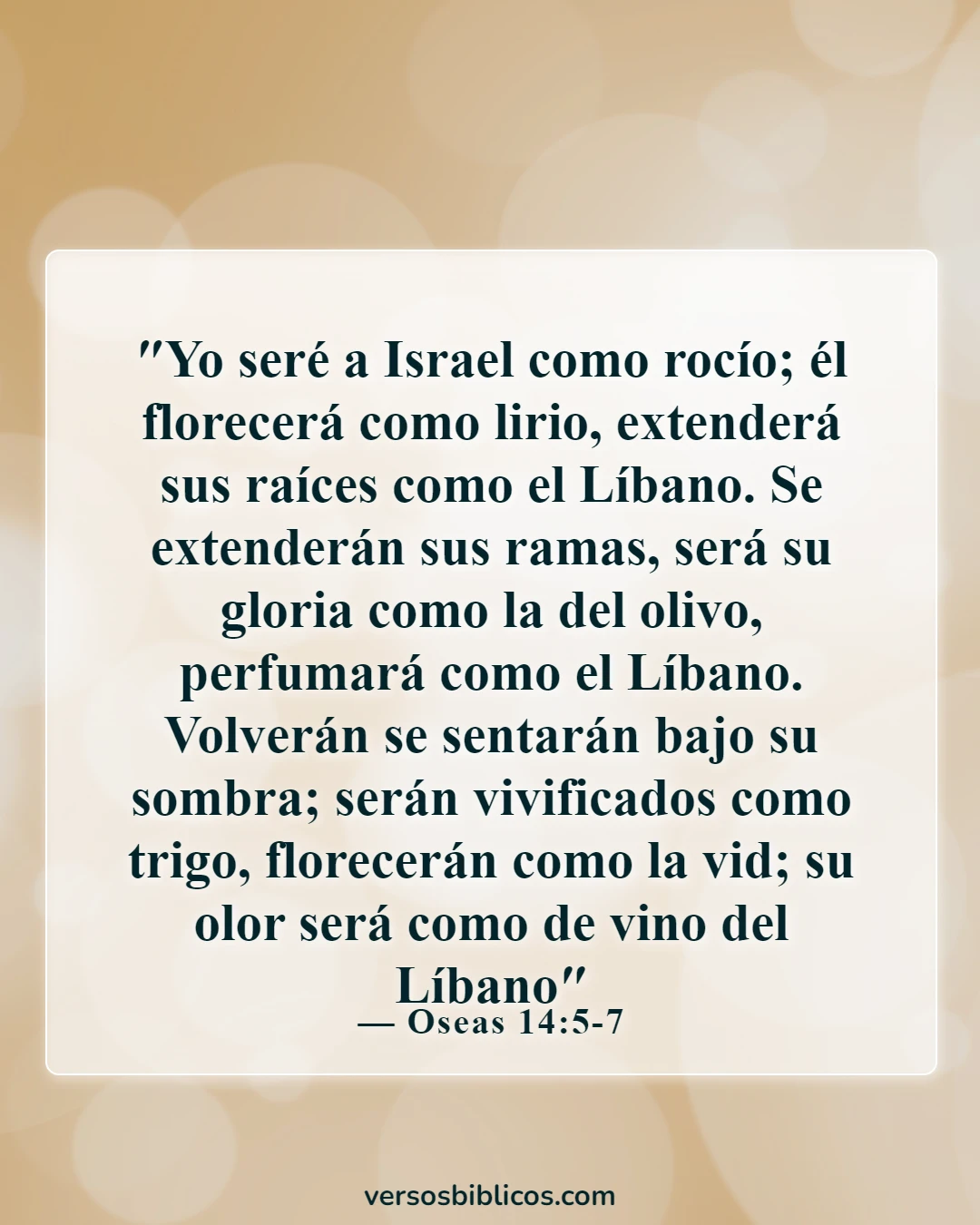 Versículos de la Biblia sobre las rosas (Oseas 14:5-7)