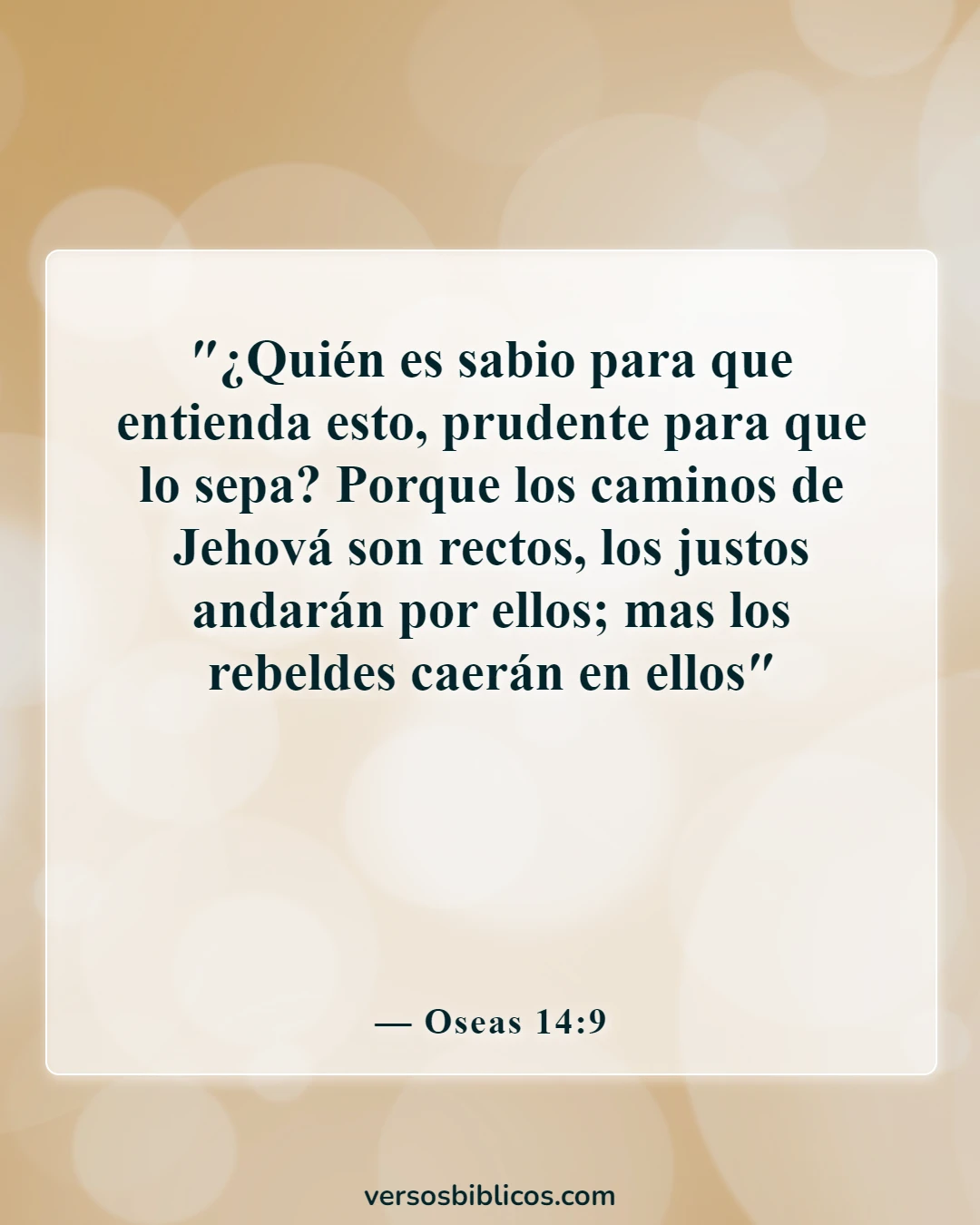 Versículos de la Biblia sobre las advertencias de Dios (Oseas 14:9)