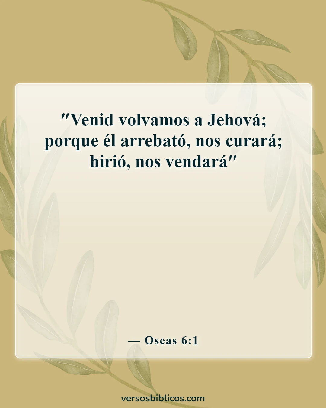 Versículos de la Biblia sobre los cristianos reincidentes (Oseas 6:1)