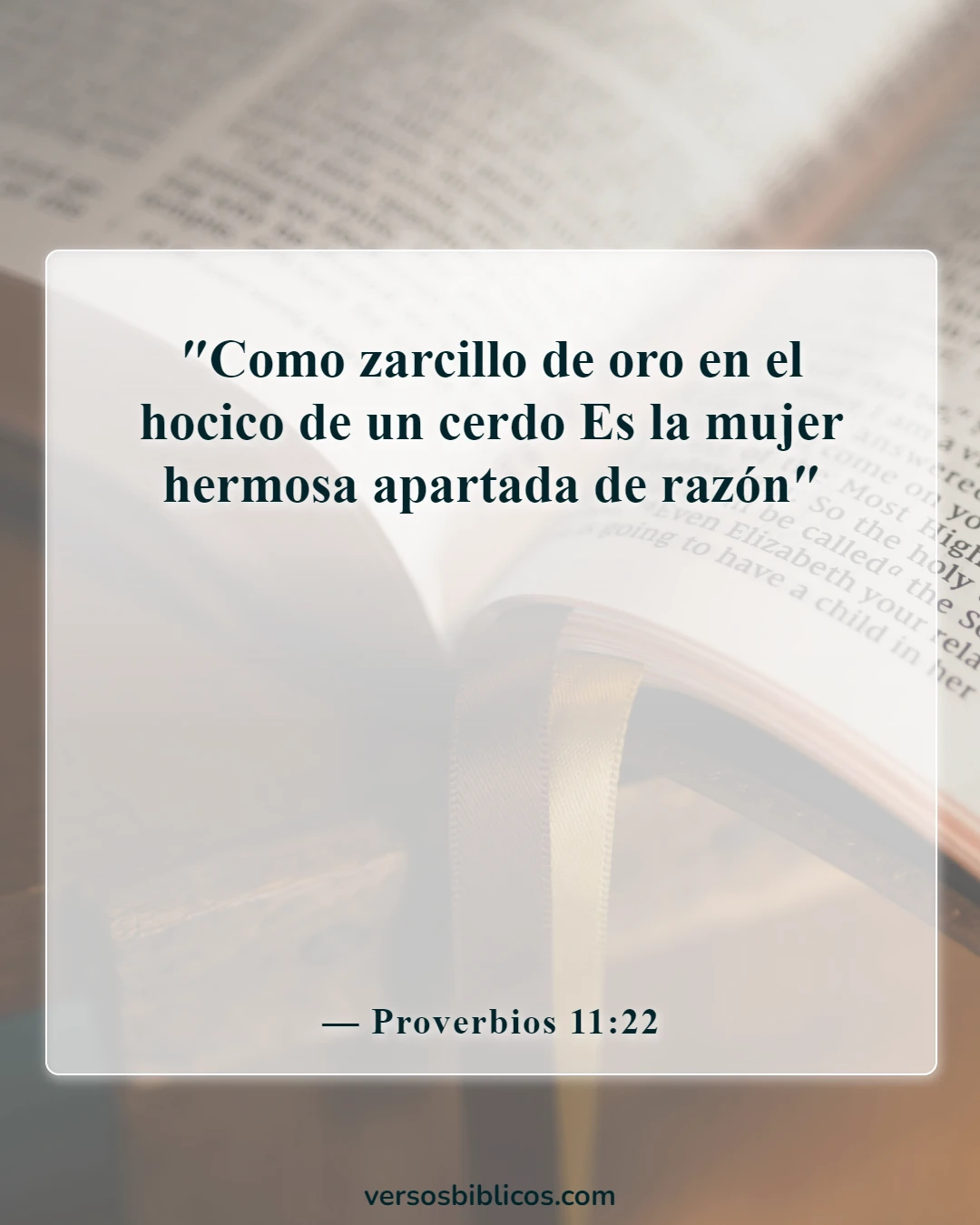 Versículos de la Biblia sobre la ropa de mujer (Proverbios 11:22)