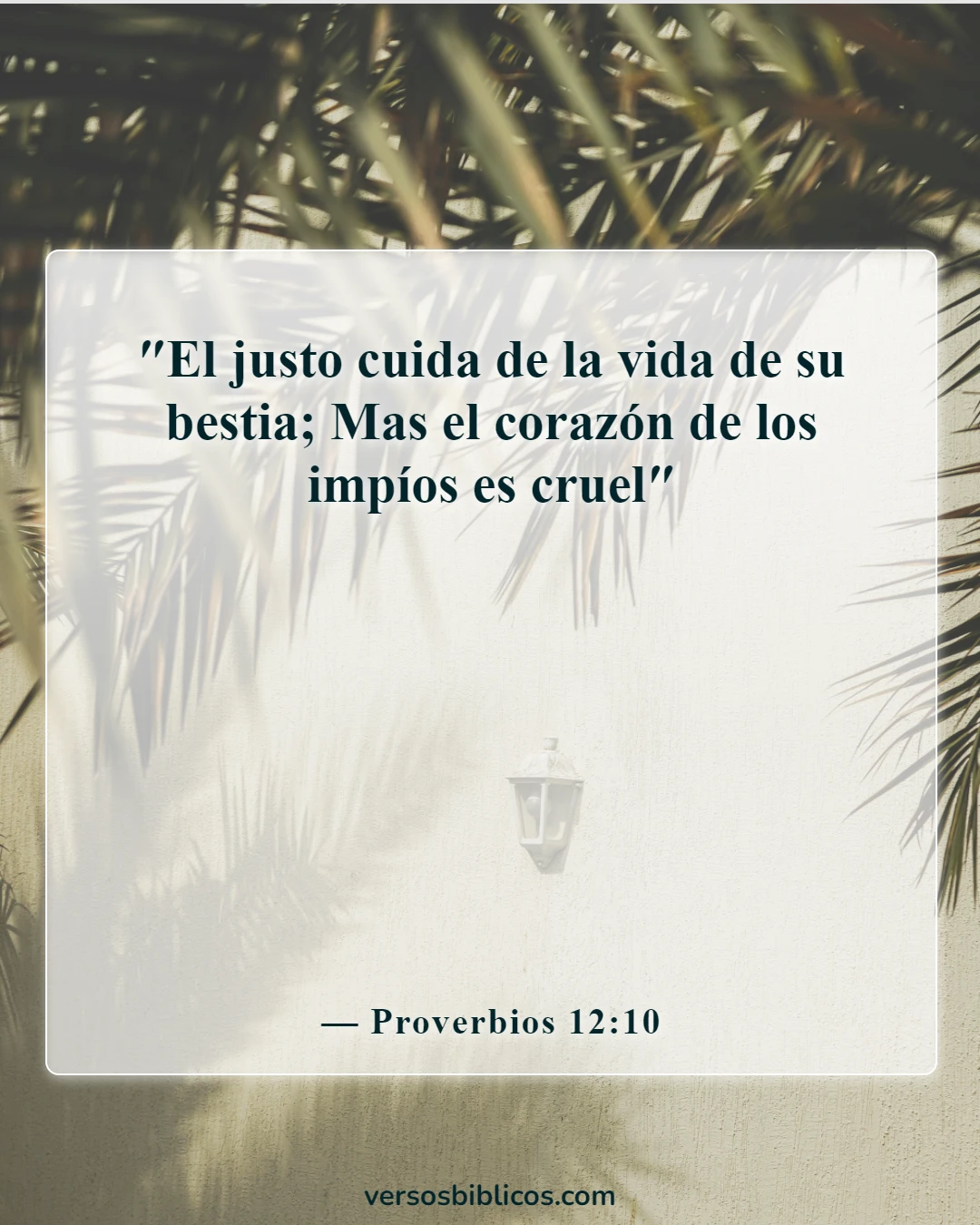 Versículos de la Biblia sobre la hermosa creación de Dios (Proverbios 12:10)