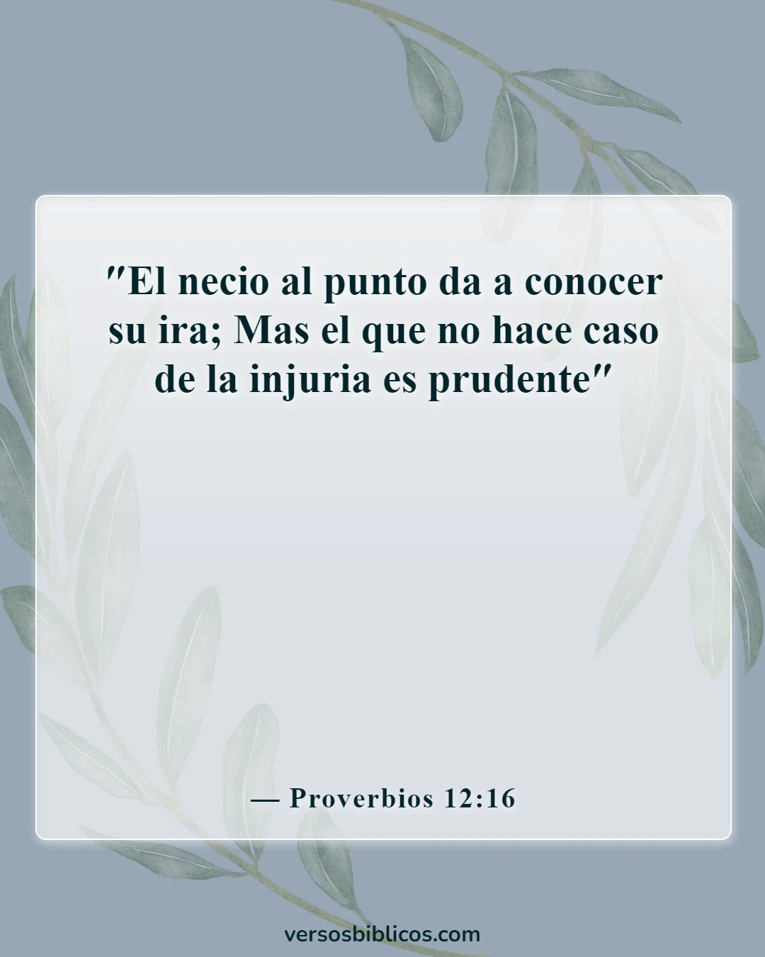 Versículos de la Biblia sobre el tonto (Proverbios 12:16)