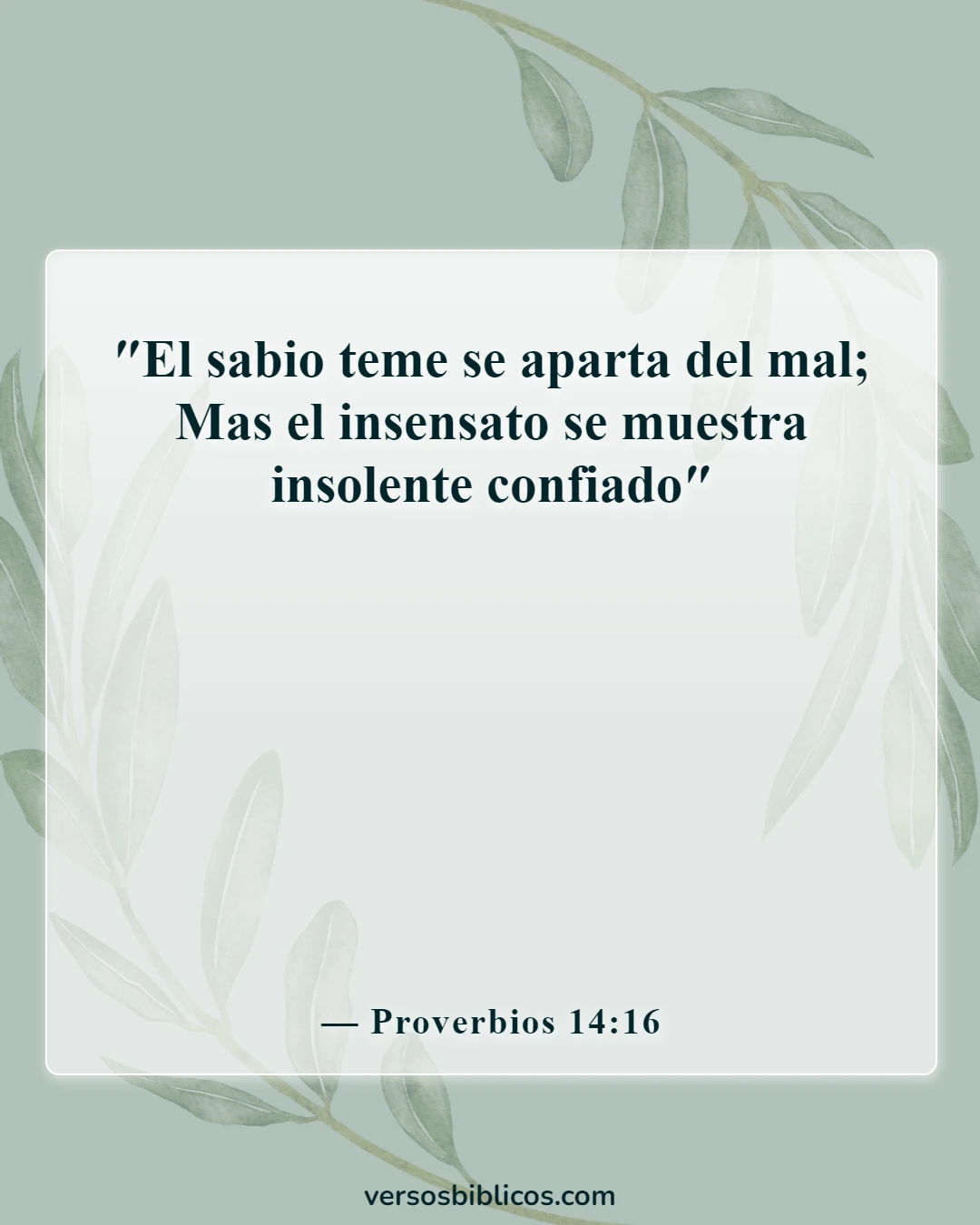 Versículos de la Biblia sobre el tonto (Proverbios 14:16)