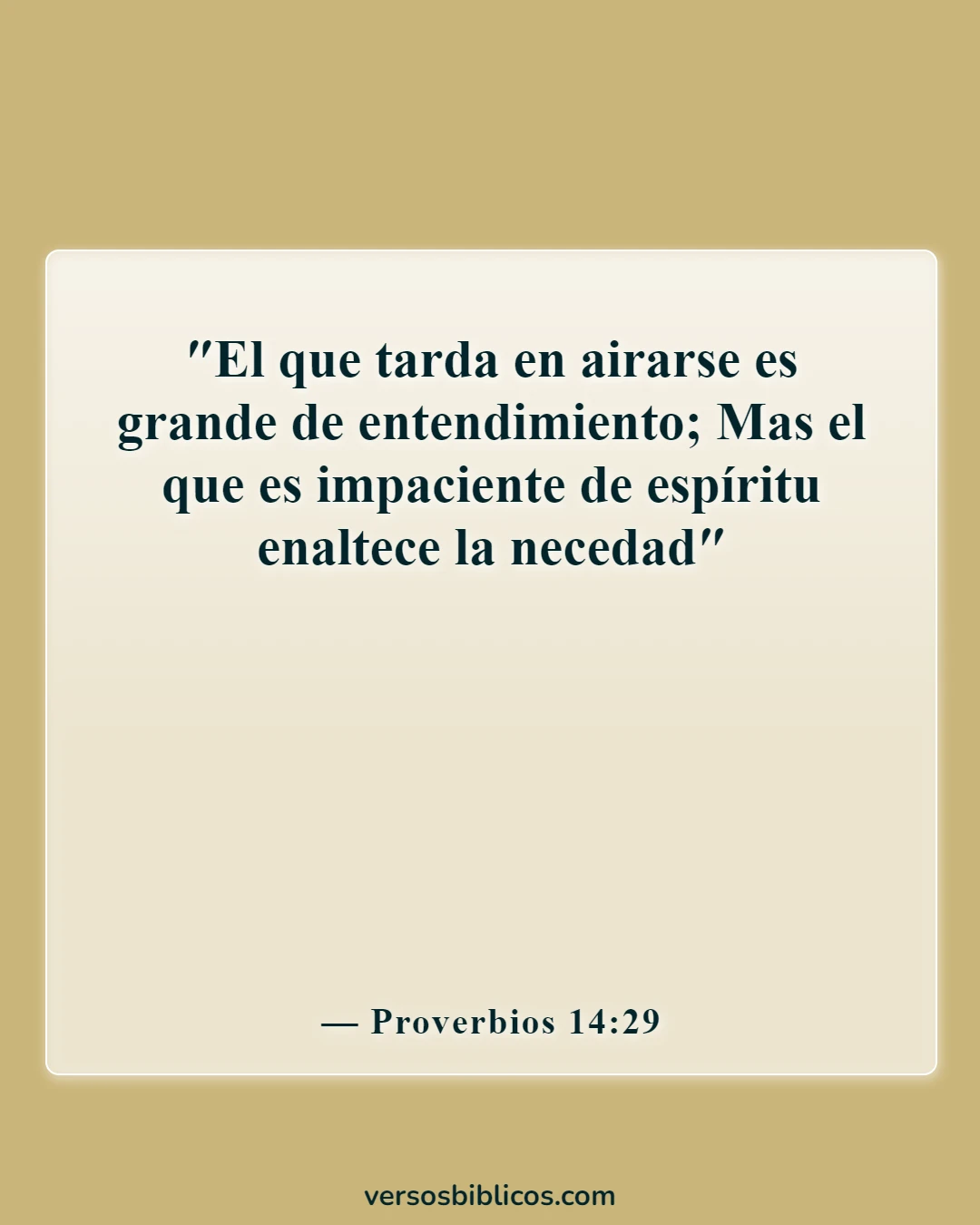 Versículos de la Biblia sobre esperar pacientemente (Proverbios 14:29)