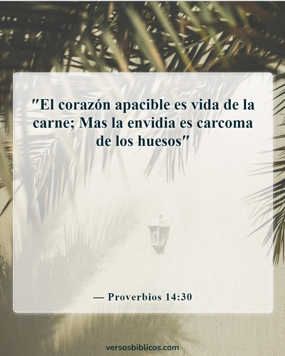 Versículos de la Biblia sobre los celos y la envidia (Proverbios 14:30)