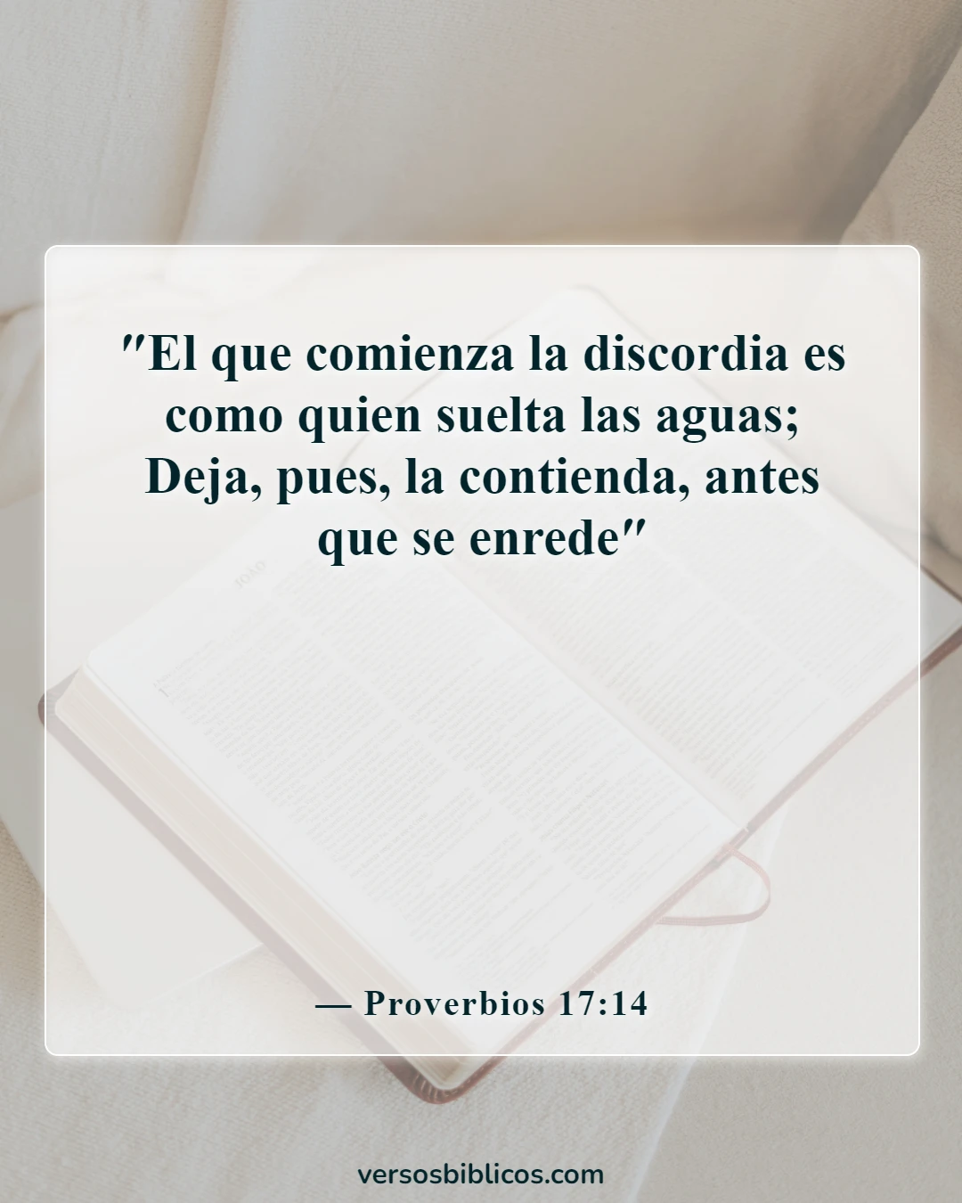 Versículos de la Biblia sobre los conflictos (Proverbios 17:14)