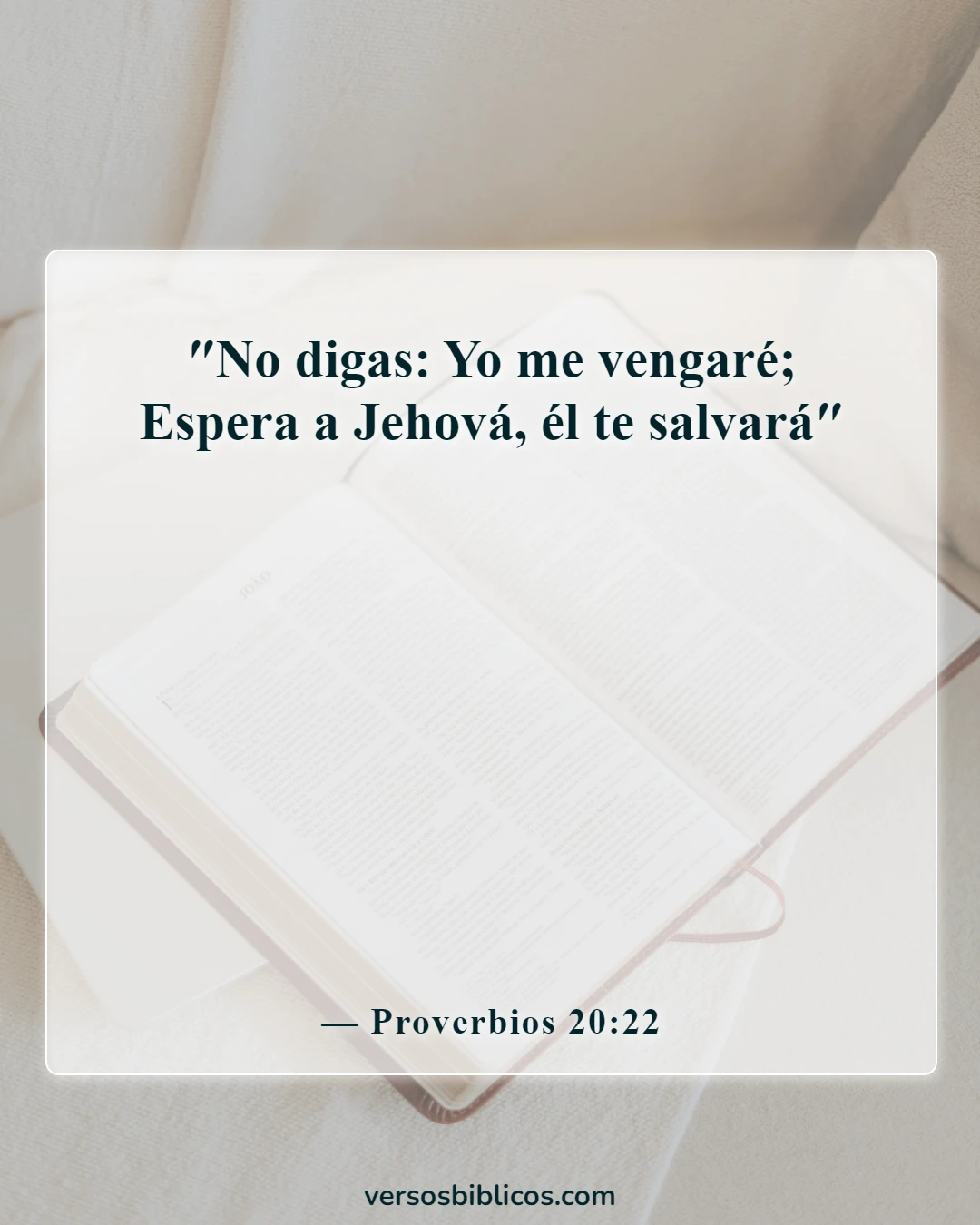 Versículos de la Biblia sobre no defenderse (Proverbios 20:22)