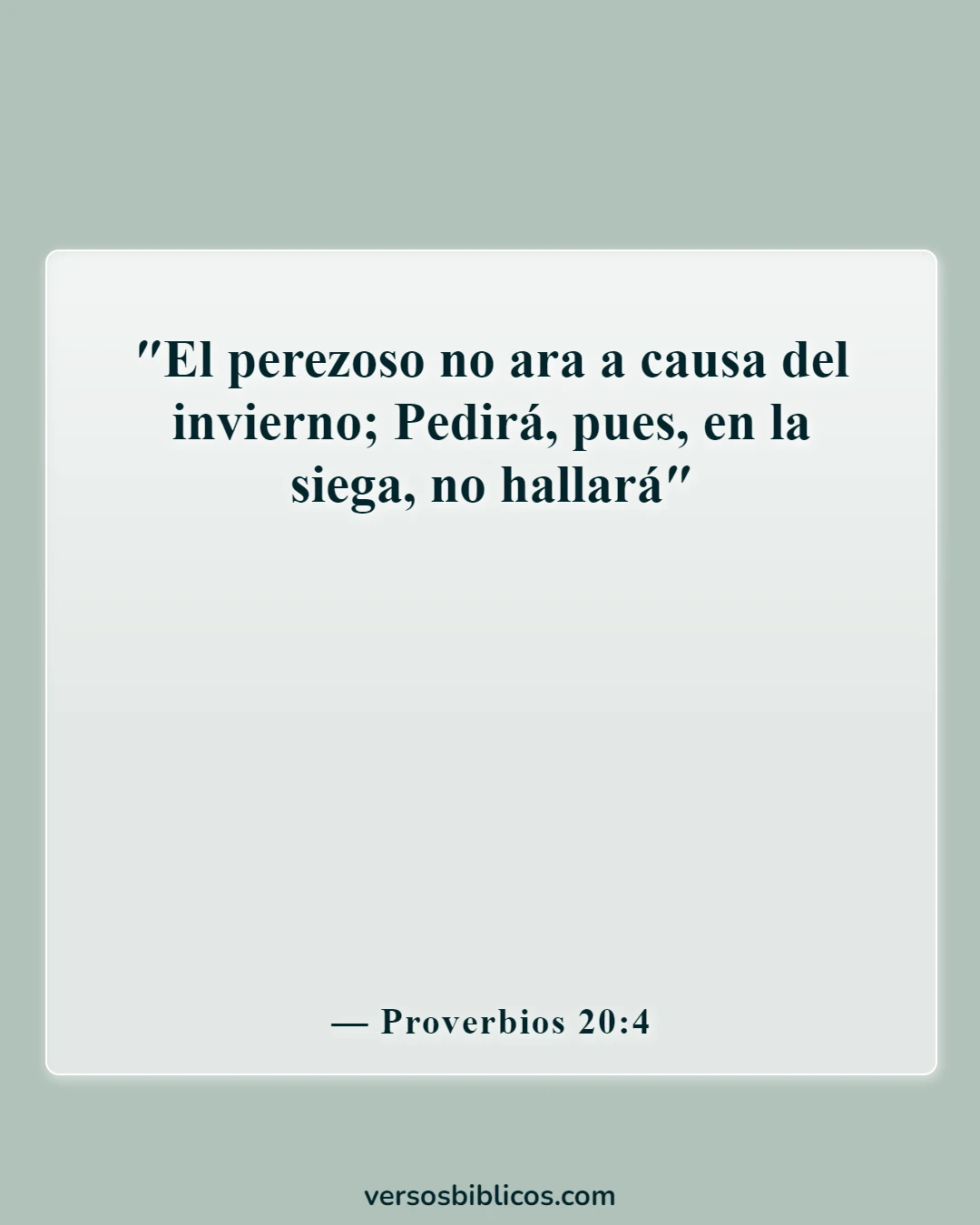Versículos de la Biblia sobre la pereza como pecado (Proverbios 20:4)