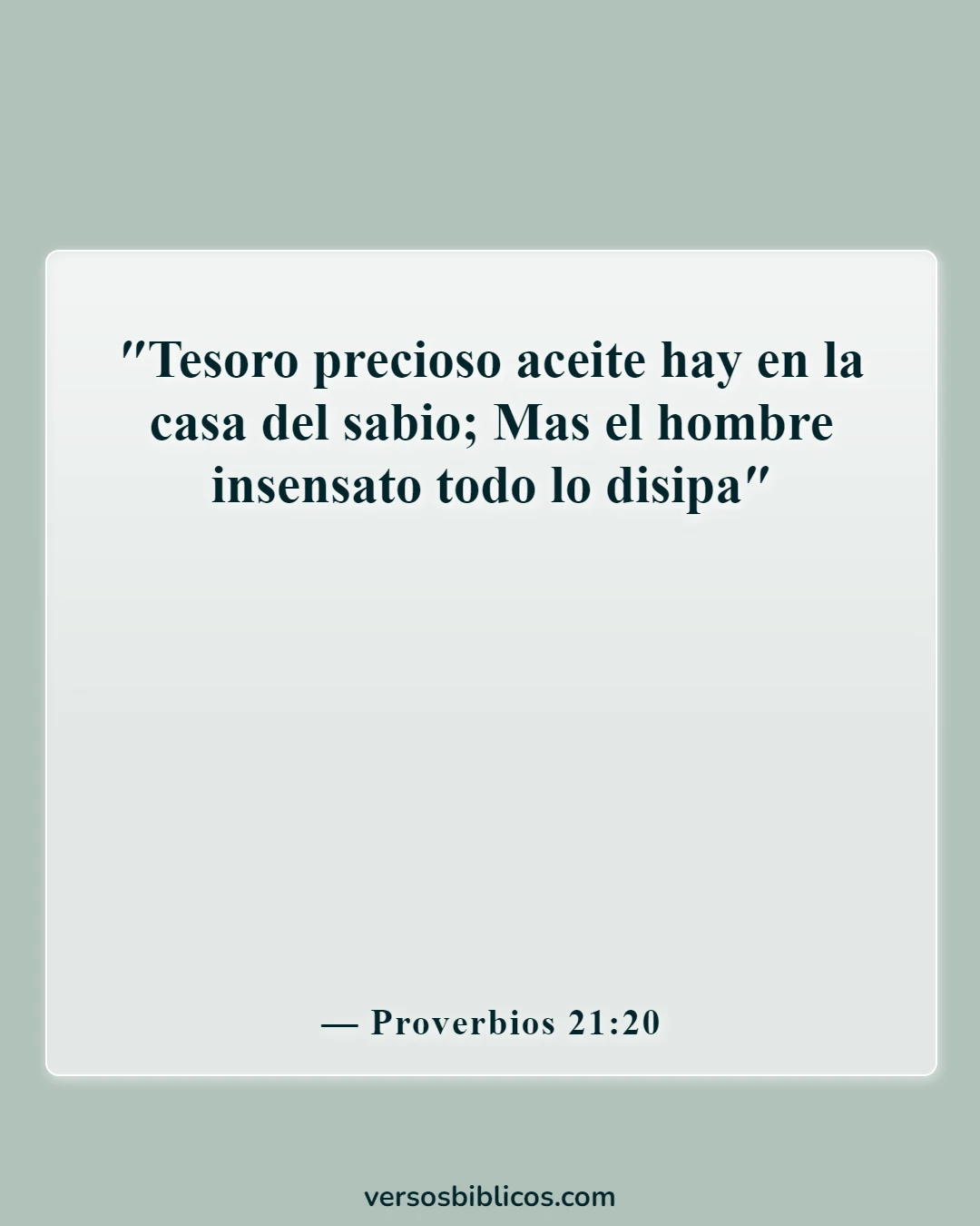 Versículos de la Biblia sobre el tonto (Proverbios 21:20)