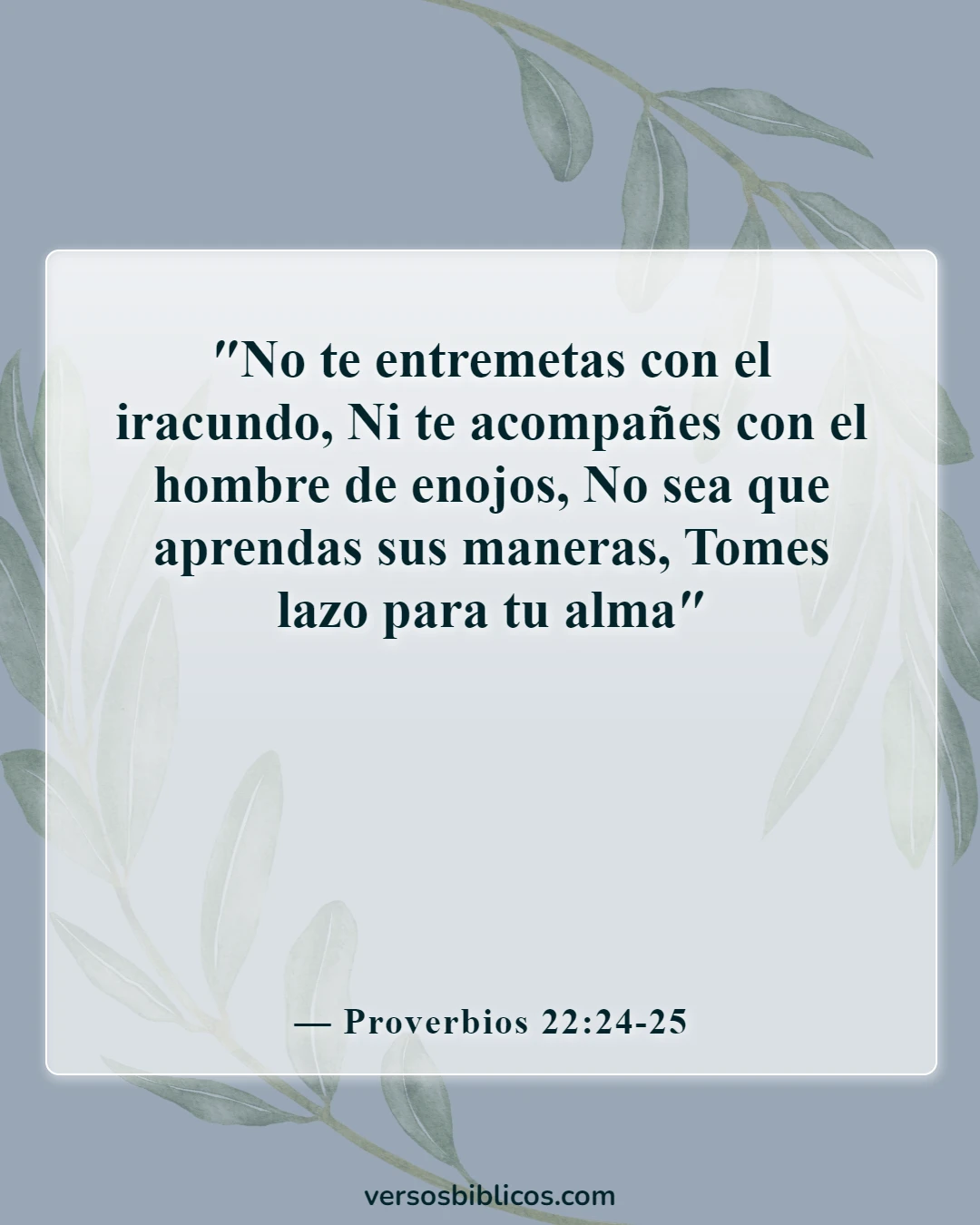 Versículos de la Biblia sobre elegir amigos (Proverbios 22:24-25)
