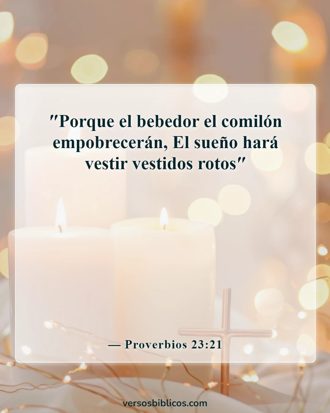Versículos de la Biblia sobre la advertencia de beber vino y alcohol (Proverbios 23:21)