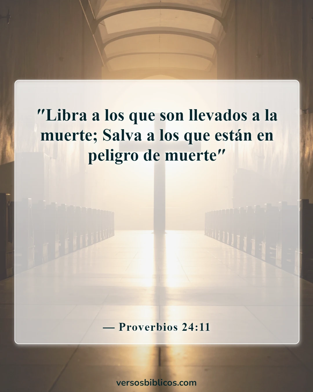 Versículos de la Biblia sobre la vida que comienza en la concepción (Proverbios 24:11)