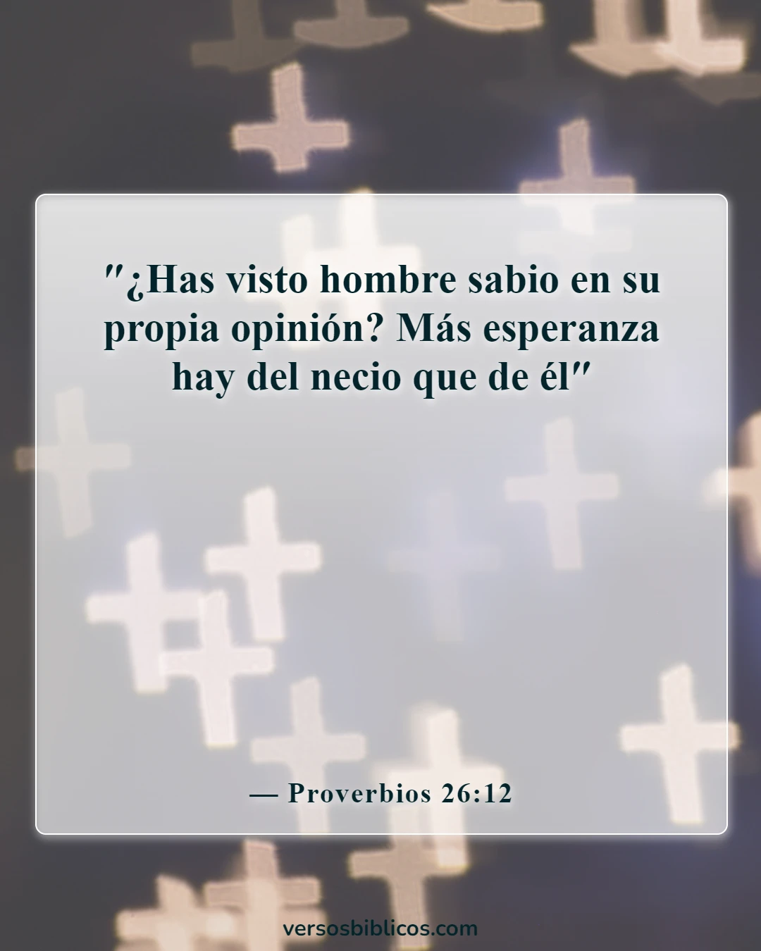 Versículos de la Biblia sobre el tonto (Proverbios 26:12)