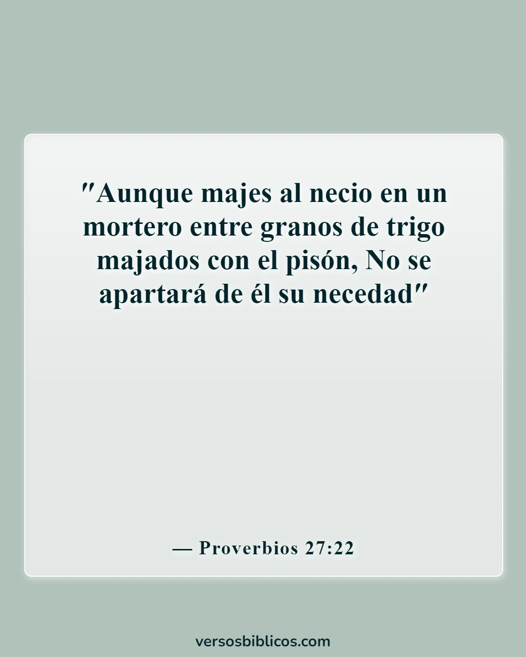Versículos de la Biblia sobre la estupidez (Proverbios 27:22)