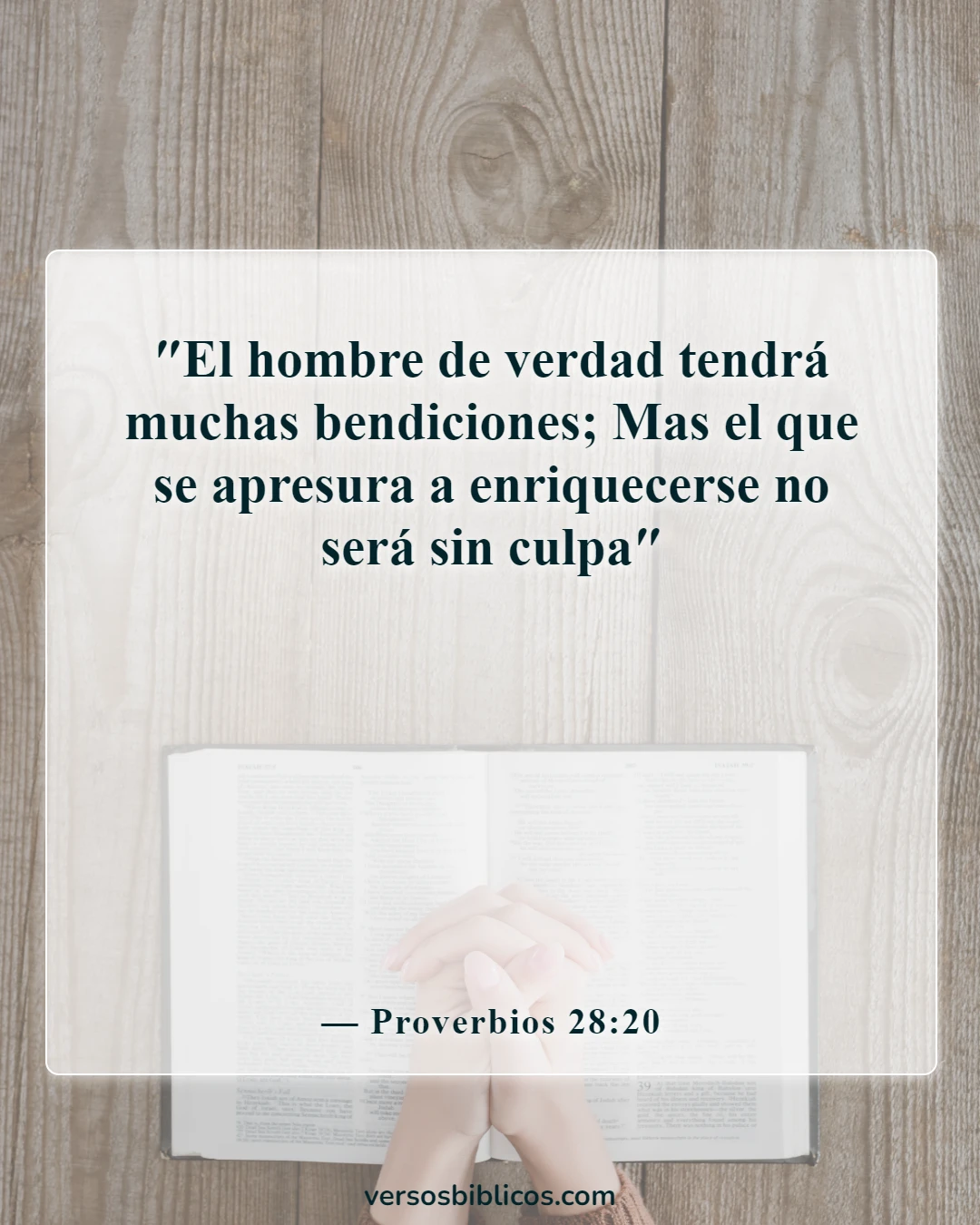 Versículos de la Biblia sobre cómo mantener a su familia (Proverbios 28:20)