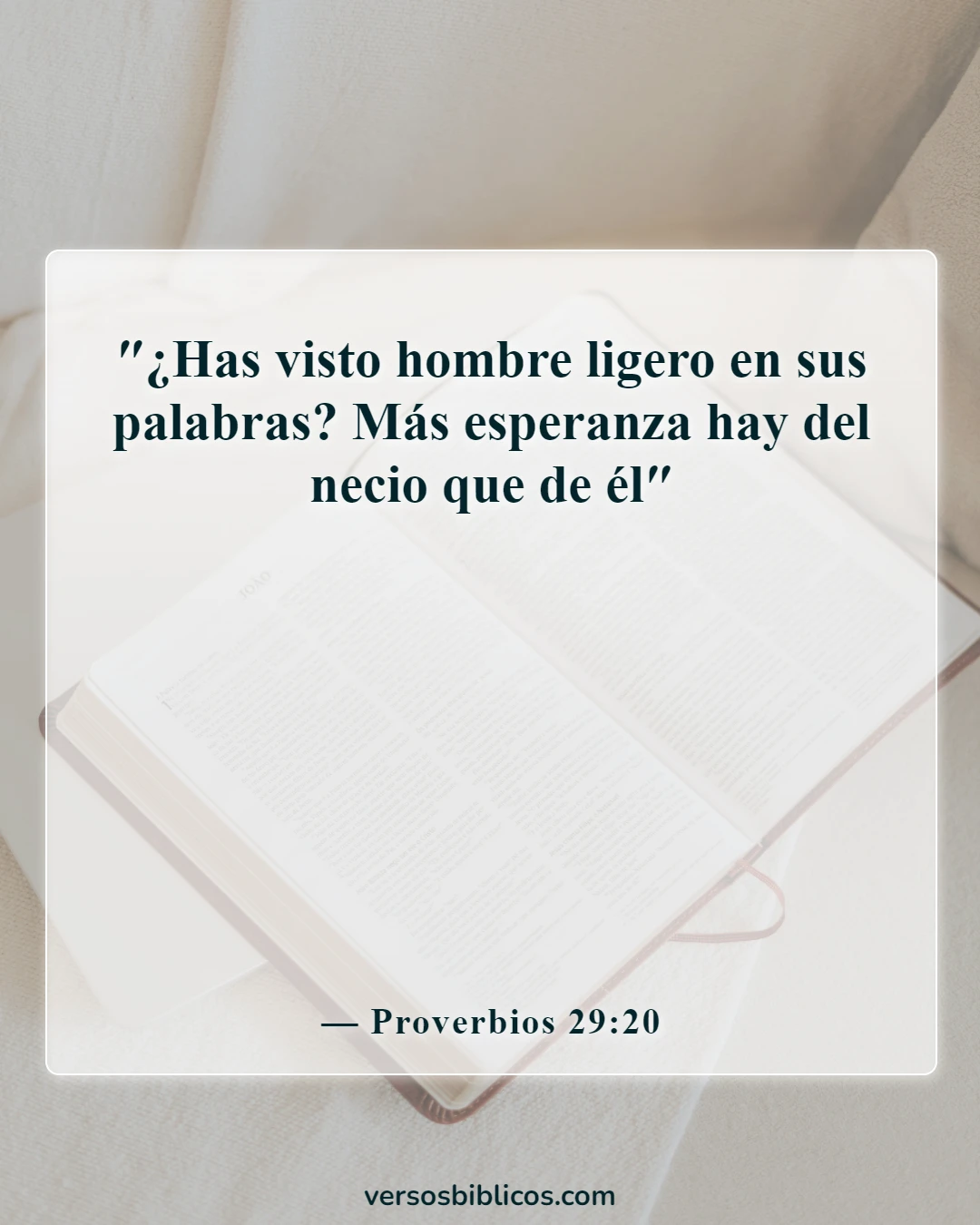 Versículos de la Biblia sobre la lengua (Proverbios 29:20)