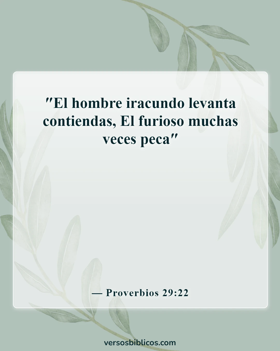 Versículos de la Biblia sobre los conflictos (Proverbios 29:22)