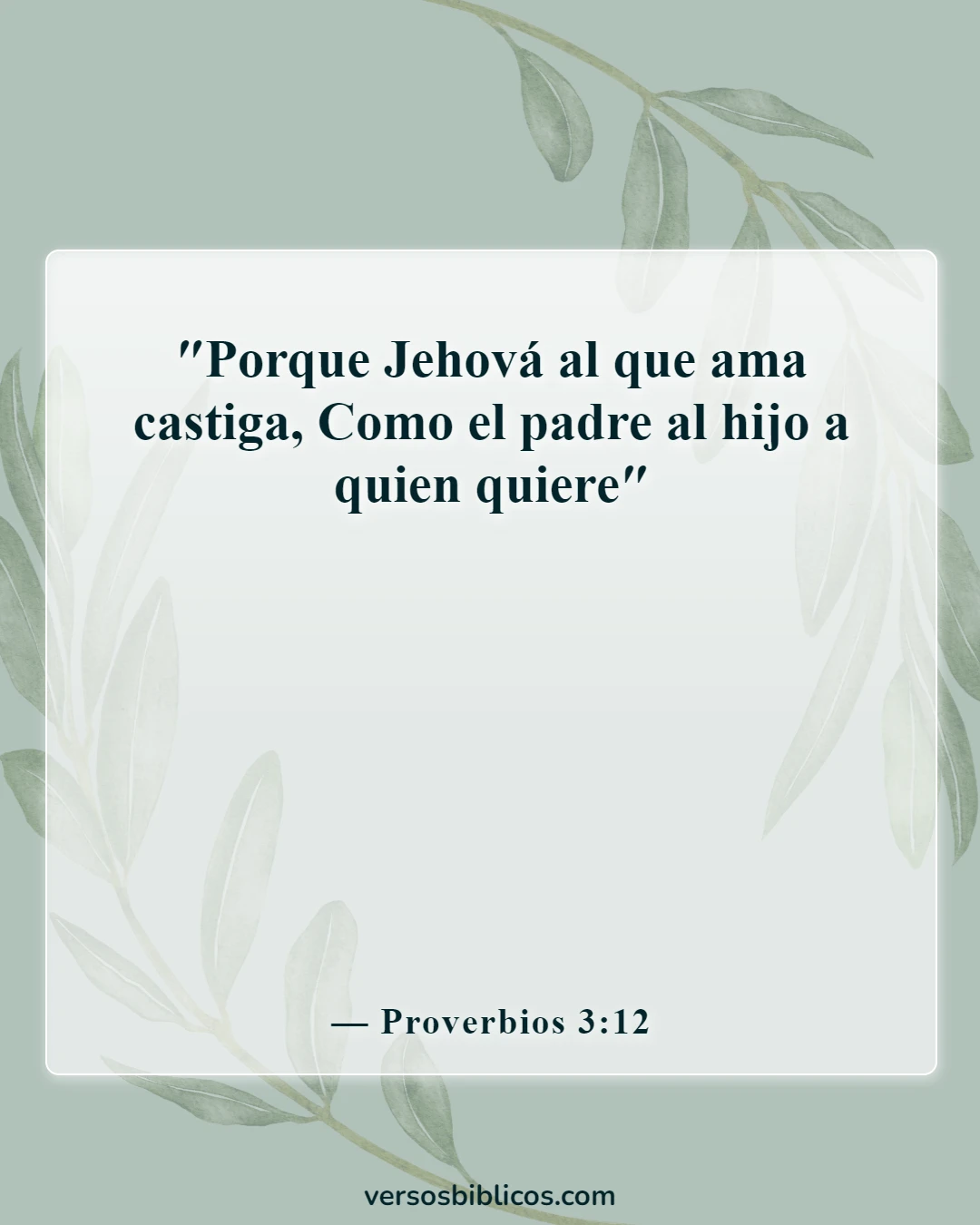 Versículos de la Biblia sobre el castigo (Proverbios 3:12)