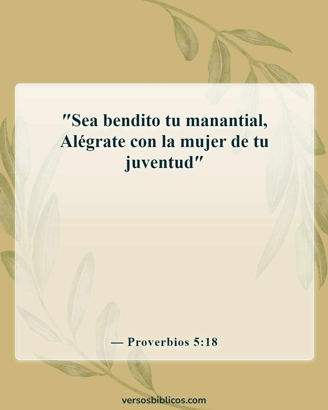 Versículos de la Biblia sobre marido y mujer (Proverbios 5:18)