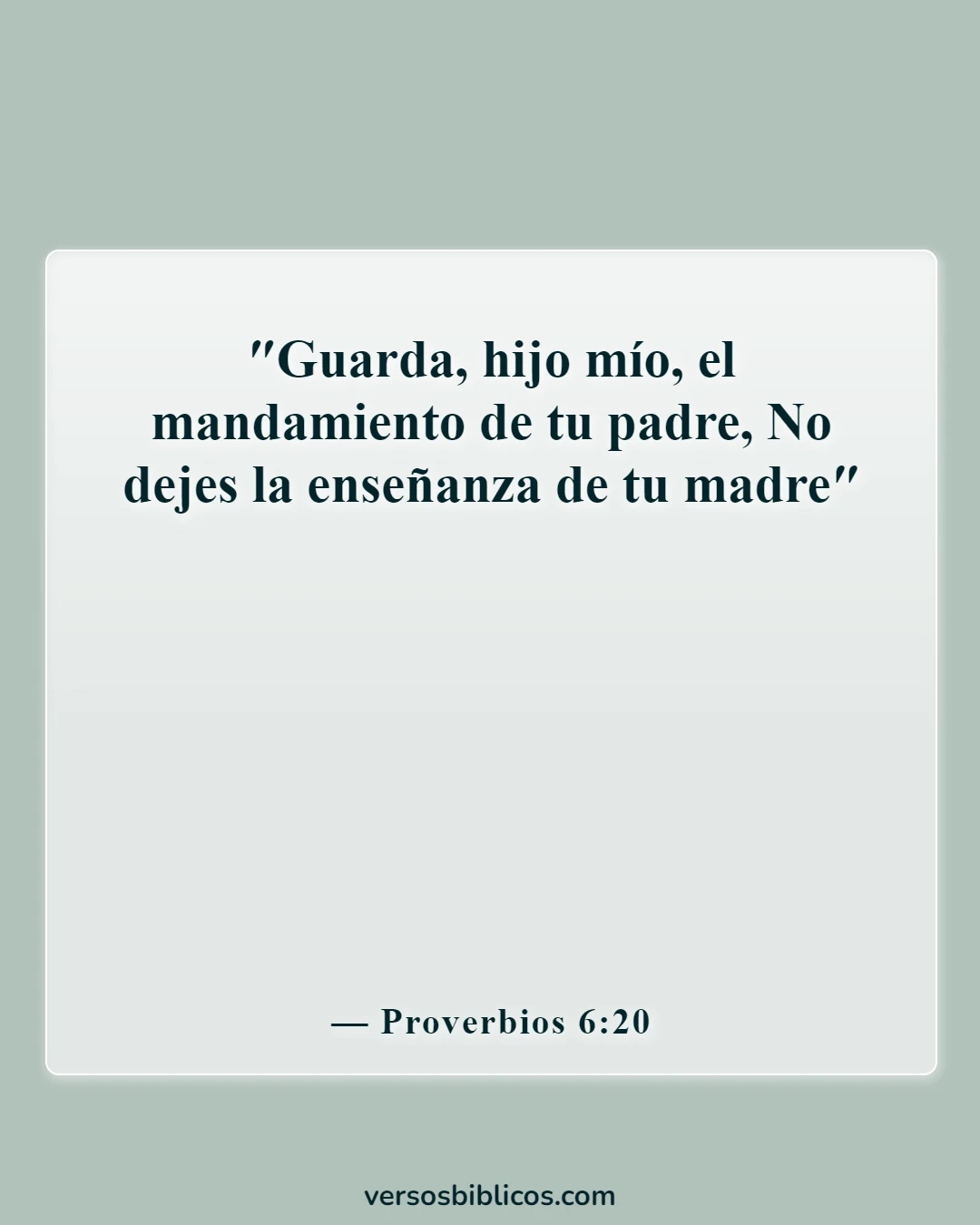Versículos de la Biblia sobre la falta de respeto a los padres (Proverbios 6:20)