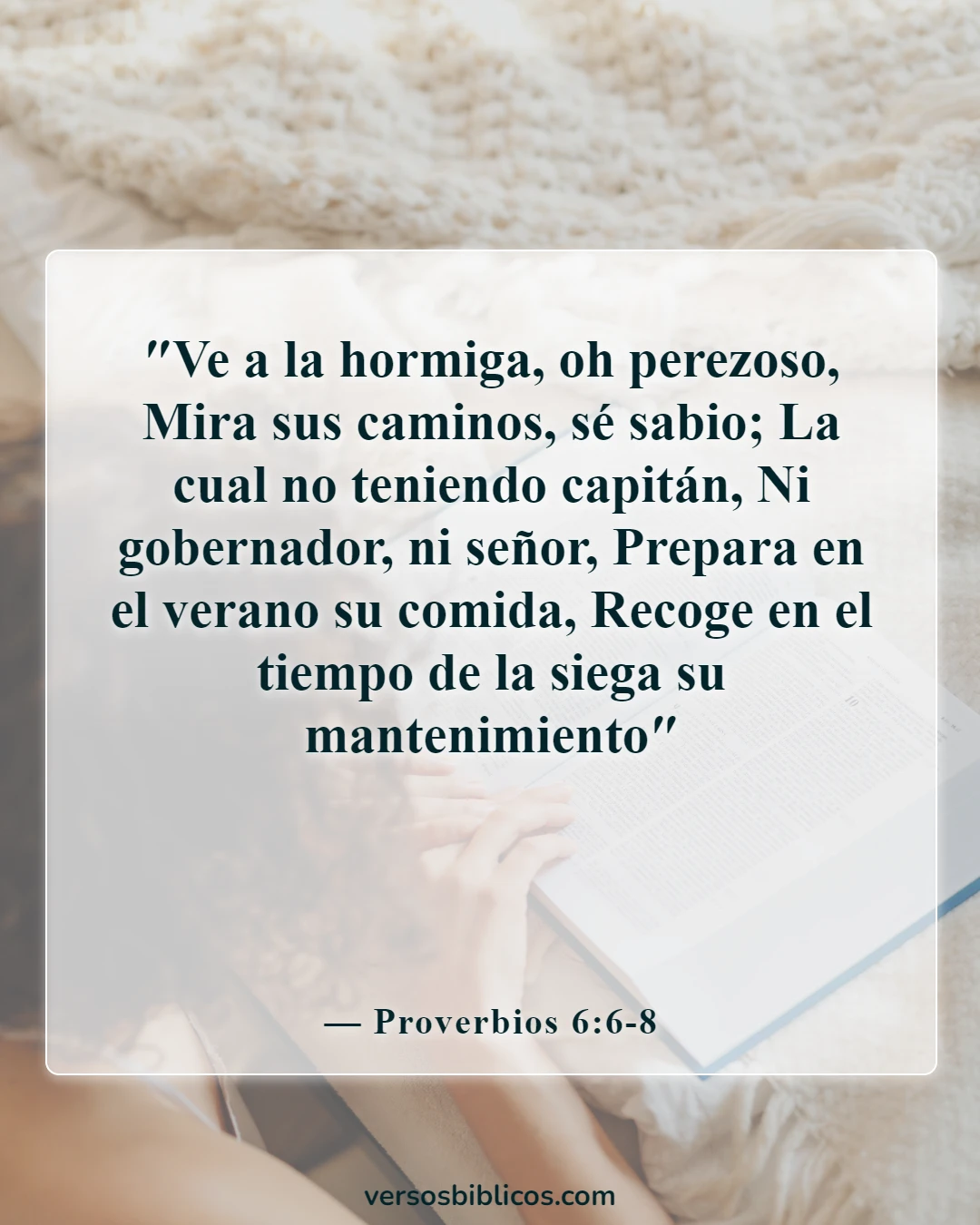 Versículos de la Biblia sobre el padre que mantiene a la familia (Proverbios 6:6-8)