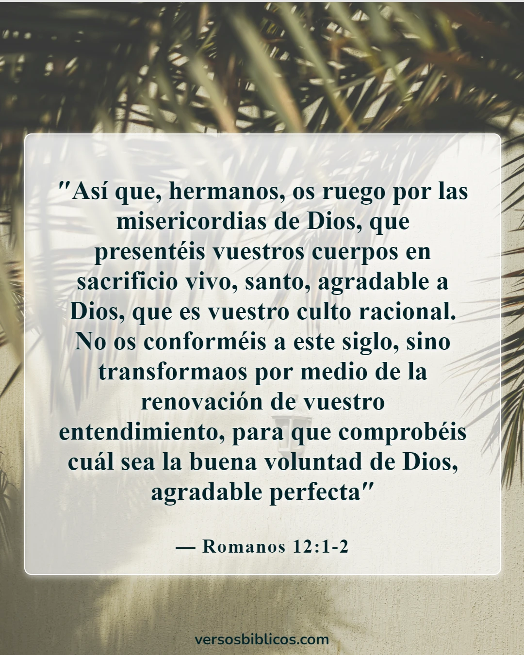 Versículos de la Biblia sobre vivir la vida con propósito (Romanos 12:1-2)