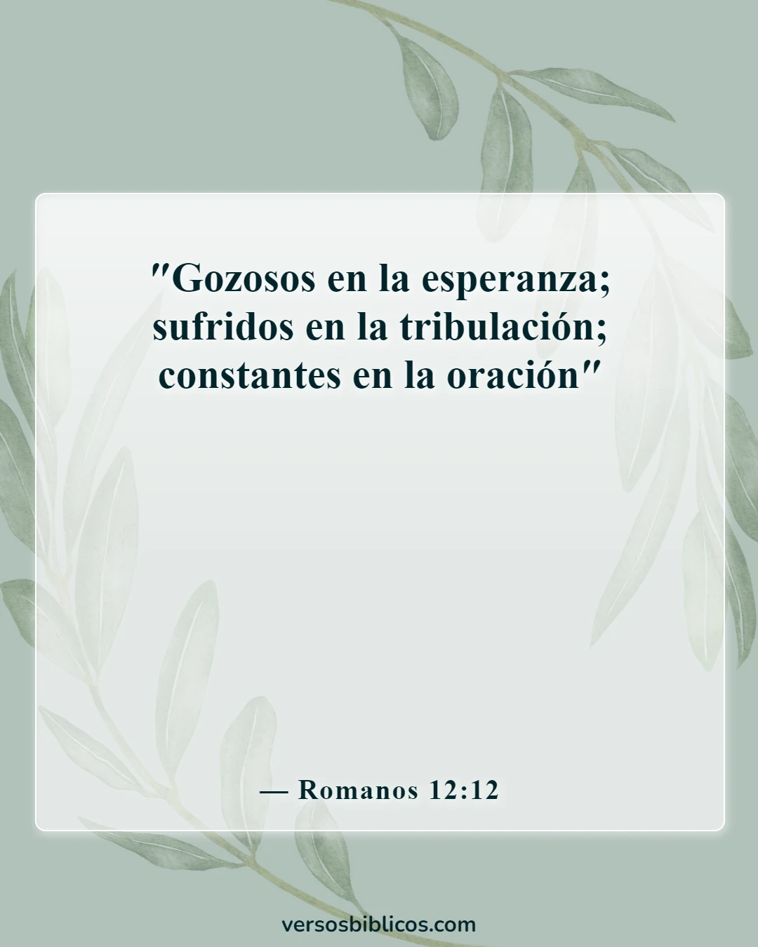 Versículos de la Biblia sobre nunca rendirse (Romanos 12:12)