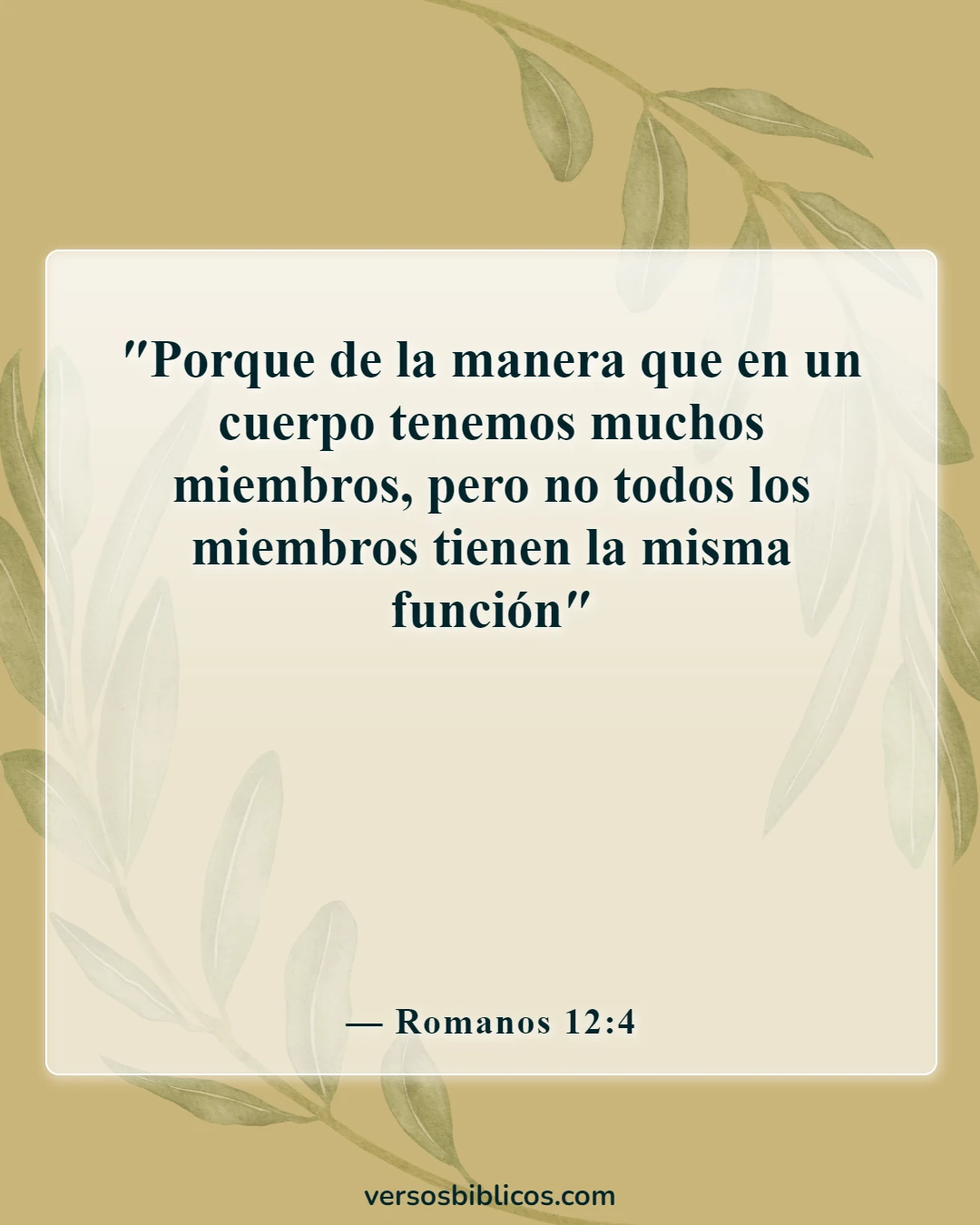 Versículos de la Biblia sobre las partes del cuerpo trabajando juntas (Romanos 12:4)
