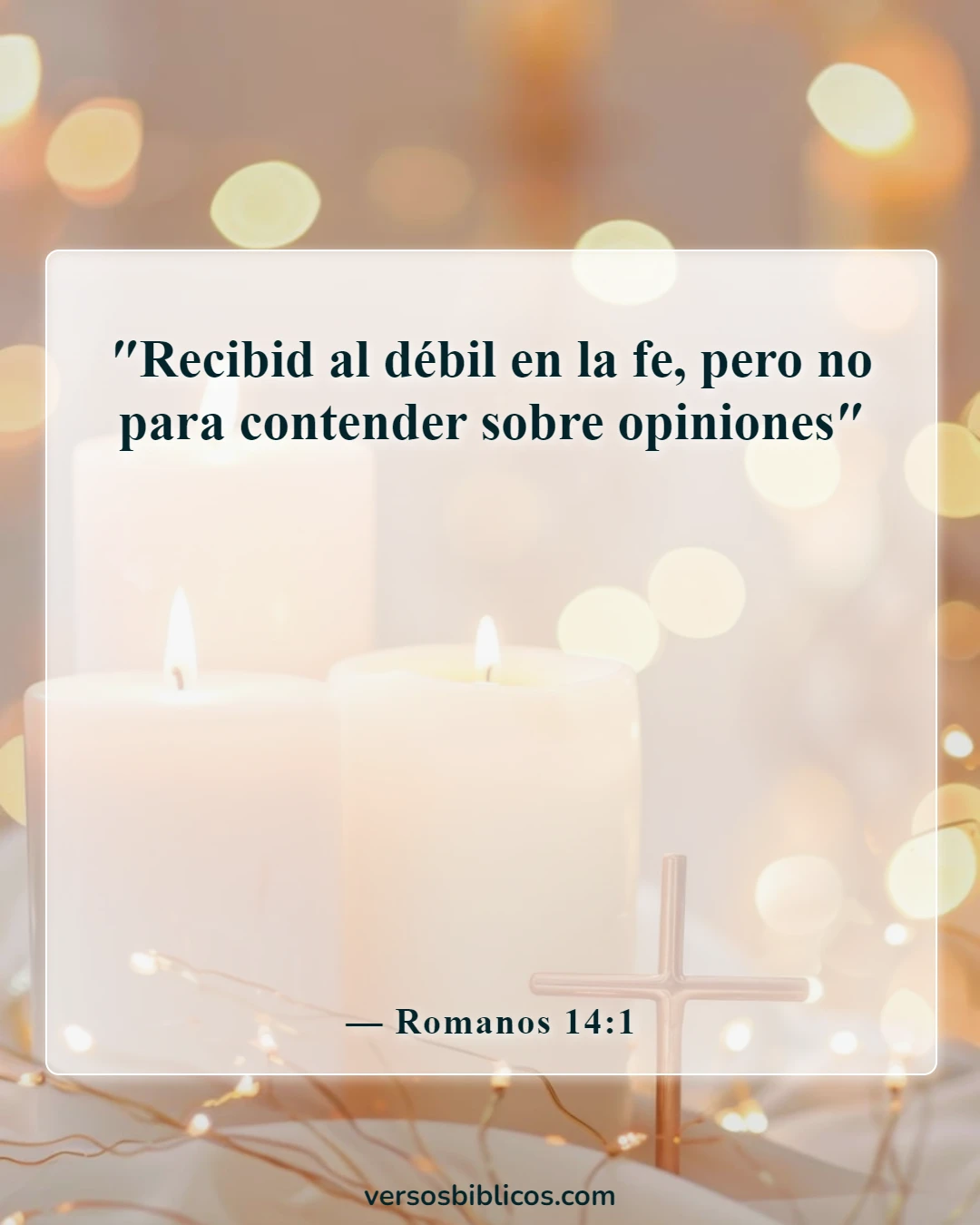 Versículos de la Biblia sobre los conflictos (Romanos 14:1)