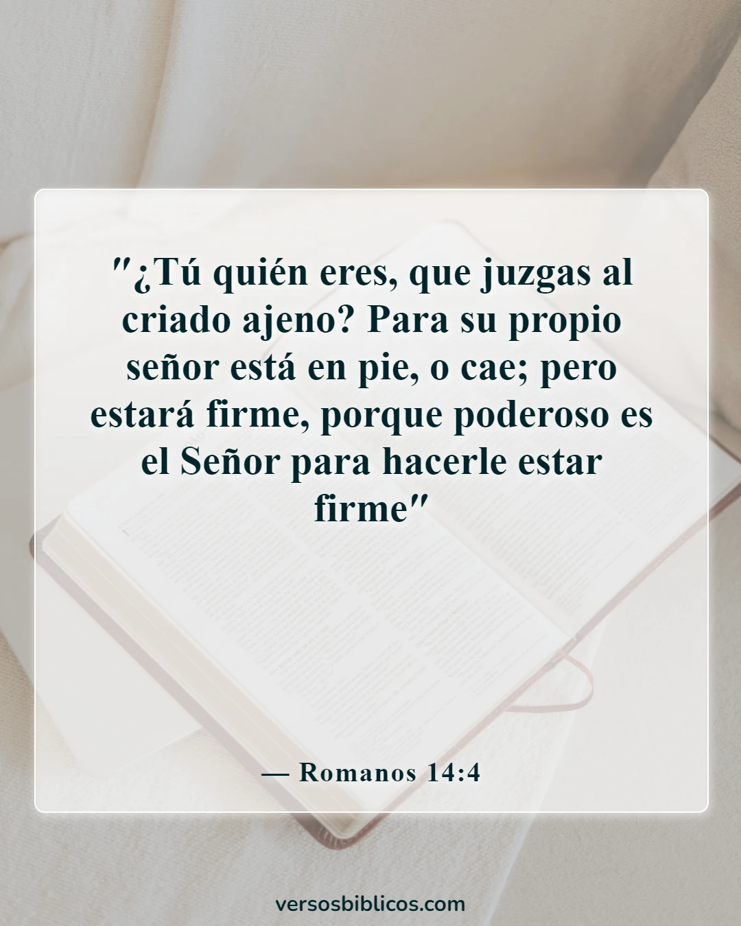 Versículos de la Biblia sobre no juzgar (Romanos 14:4)