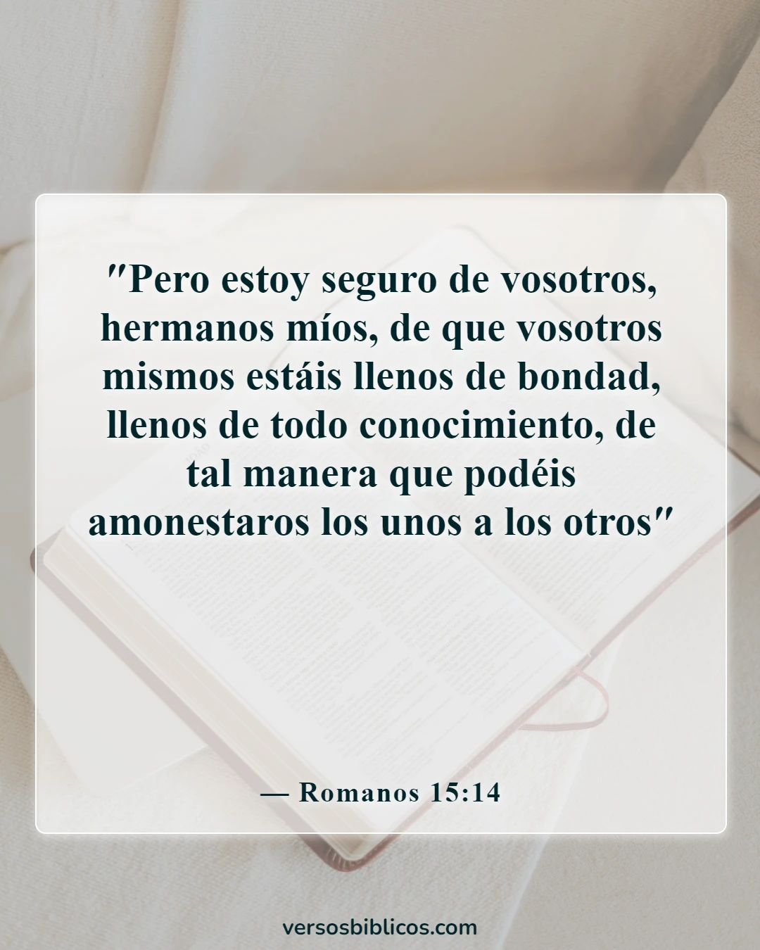 Versículos de la Biblia sobre la bondad (Romanos 15:14)