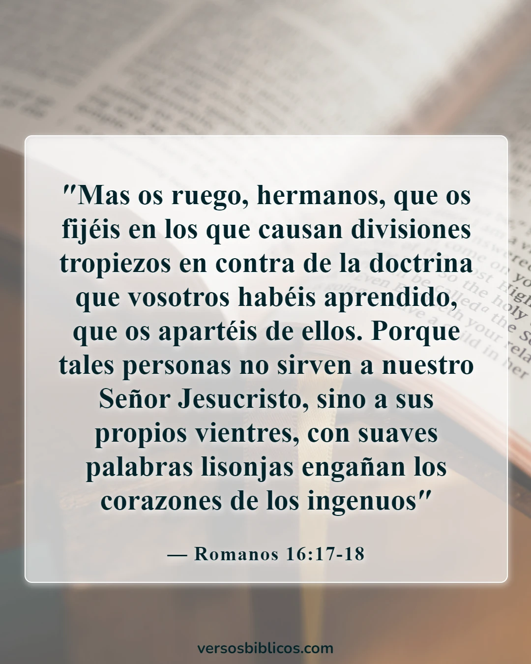 Versículos de la Biblia sobre el discernimiento (Romanos 16:17-18)