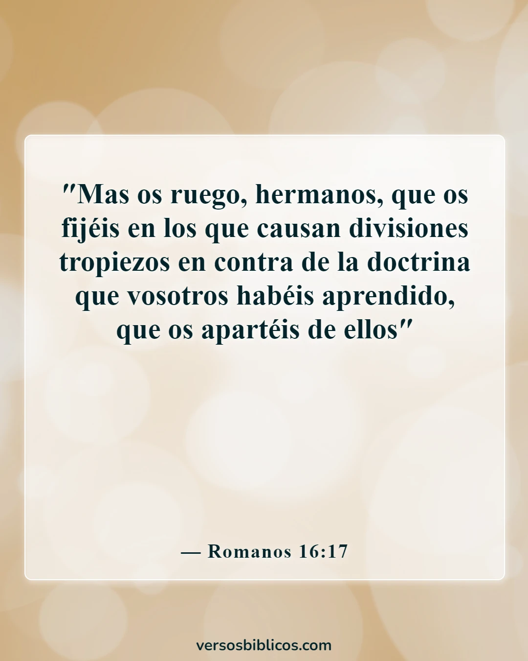 Versículos de la Biblia sobre elegir amigos (Romanos 16:17)