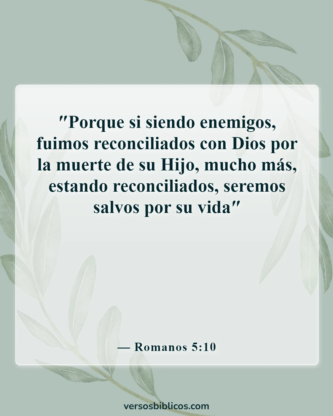 Versículos de la Biblia sobre disculparse con alguien (Romanos 5:10)