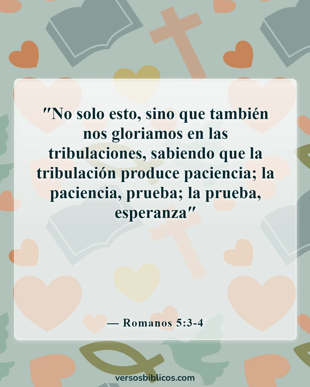 Versículos de la Biblia sobre nunca rendirse (Romanos 5:3-4)