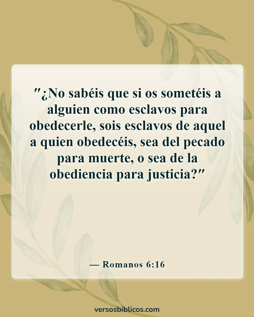 Versículos de la Biblia que prueban que la predestinación es incorrecta (Romanos 6:16)