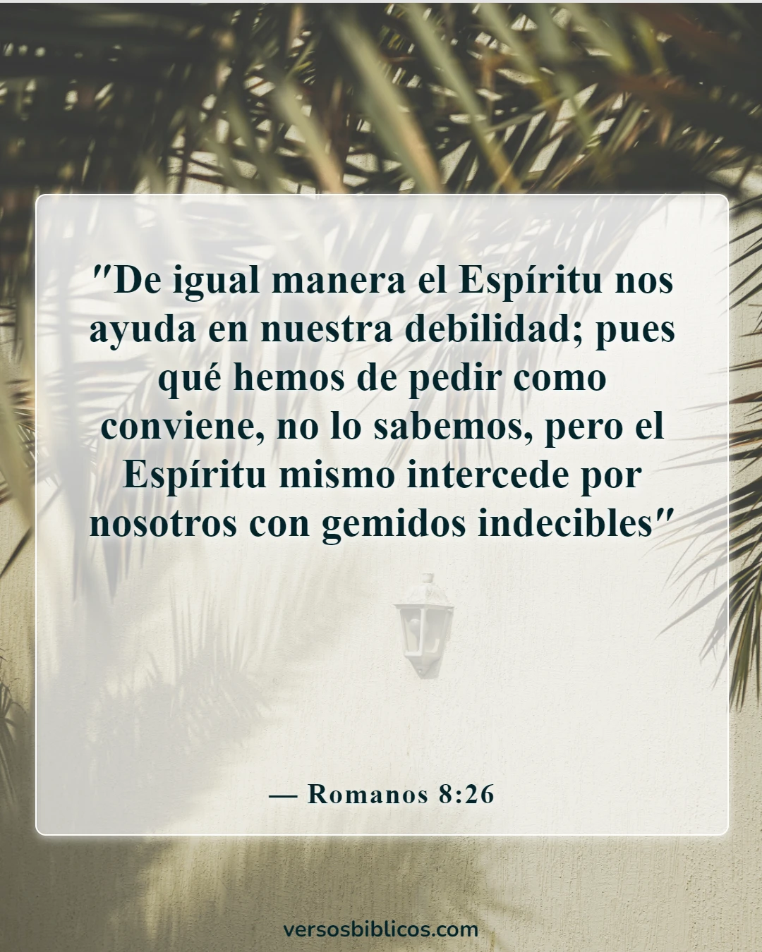 Versículos de la Biblia sobre el duelo por la pérdida de un ser querido (Romanos 8:26)