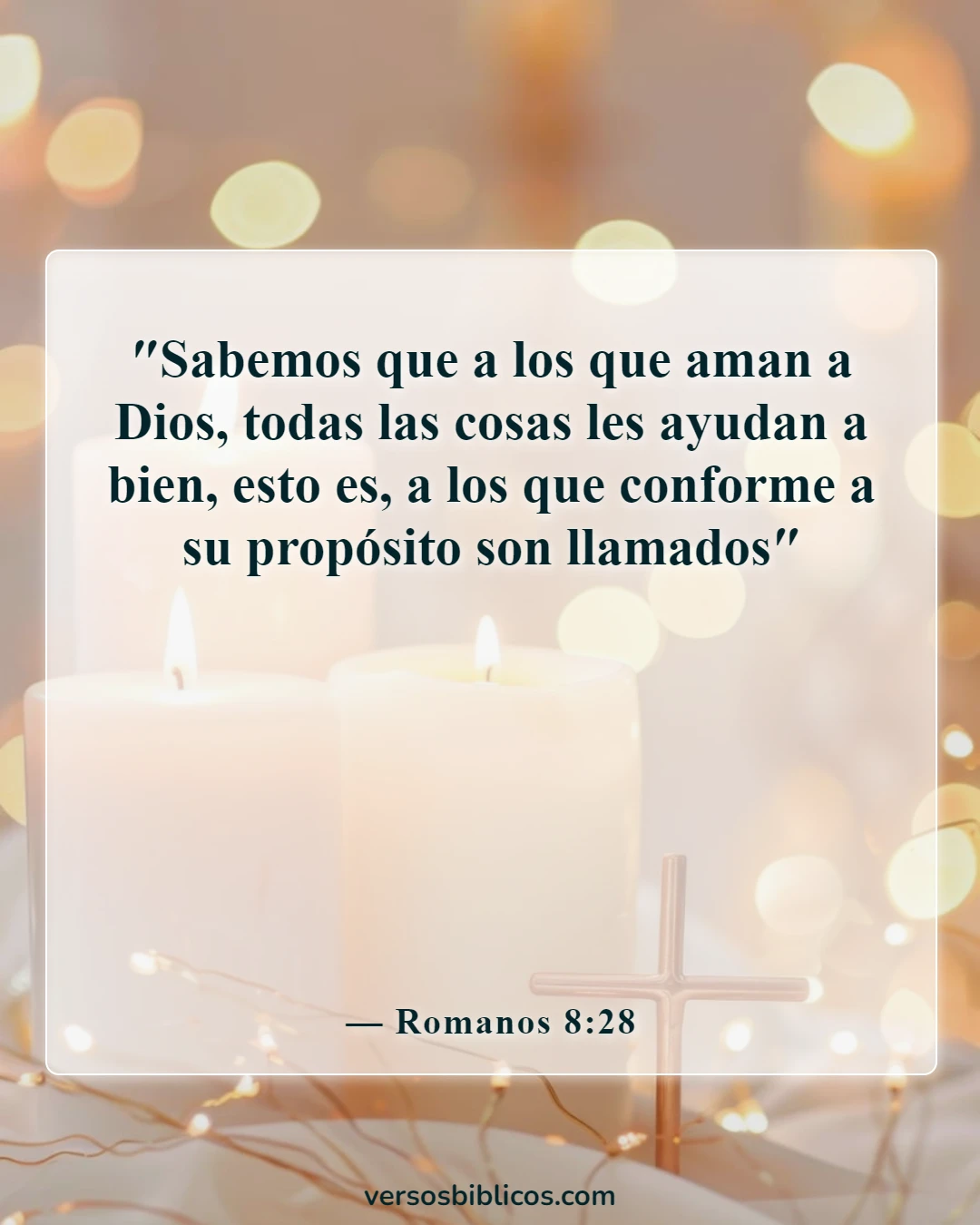 Versículos de la Biblia sobre vivir la vida con propósito (Romanos 8:28)