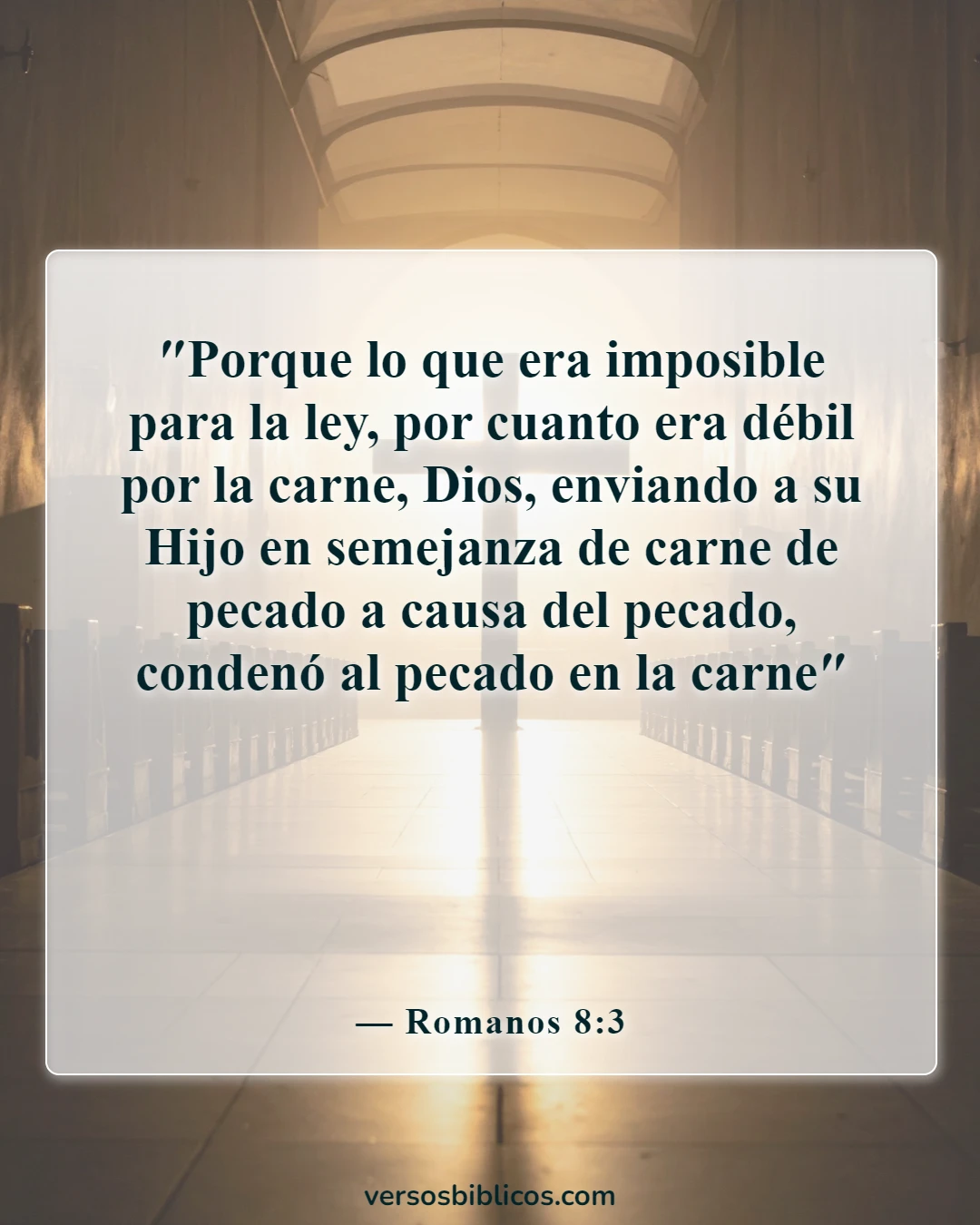Versículos de la Biblia sobre el sacrificio (Romanos 8:3)