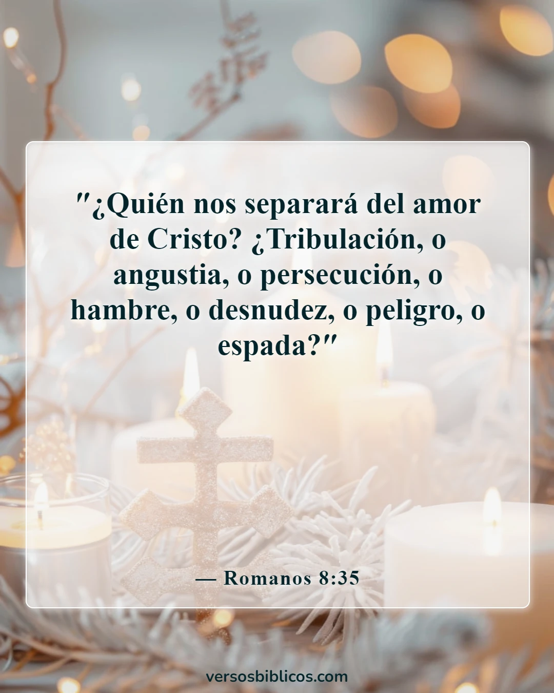 Versículos de la Biblia sobre la persecución (Romanos 8:35)