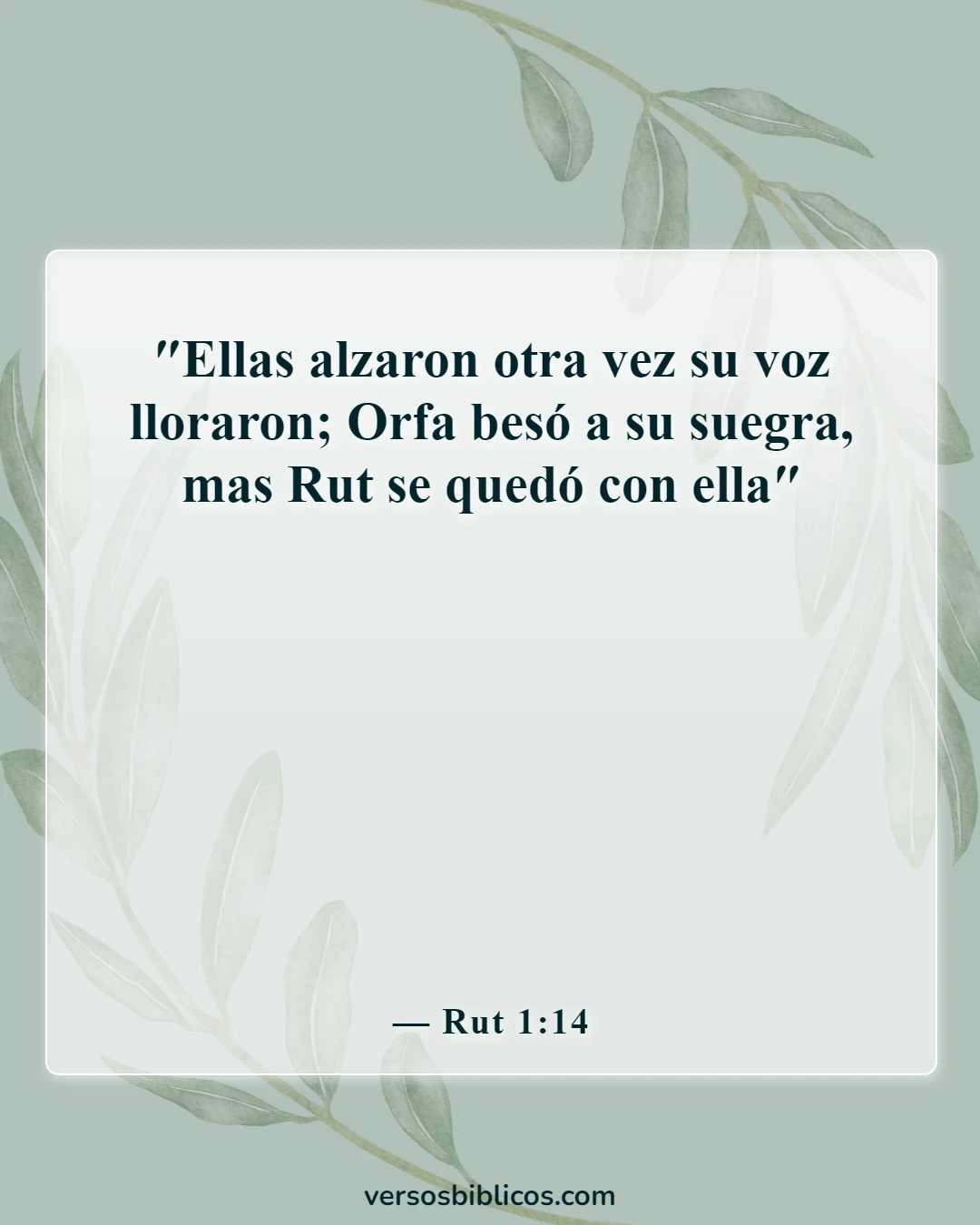Versículos de la Biblia sobre la suegra (Rut 1:14)