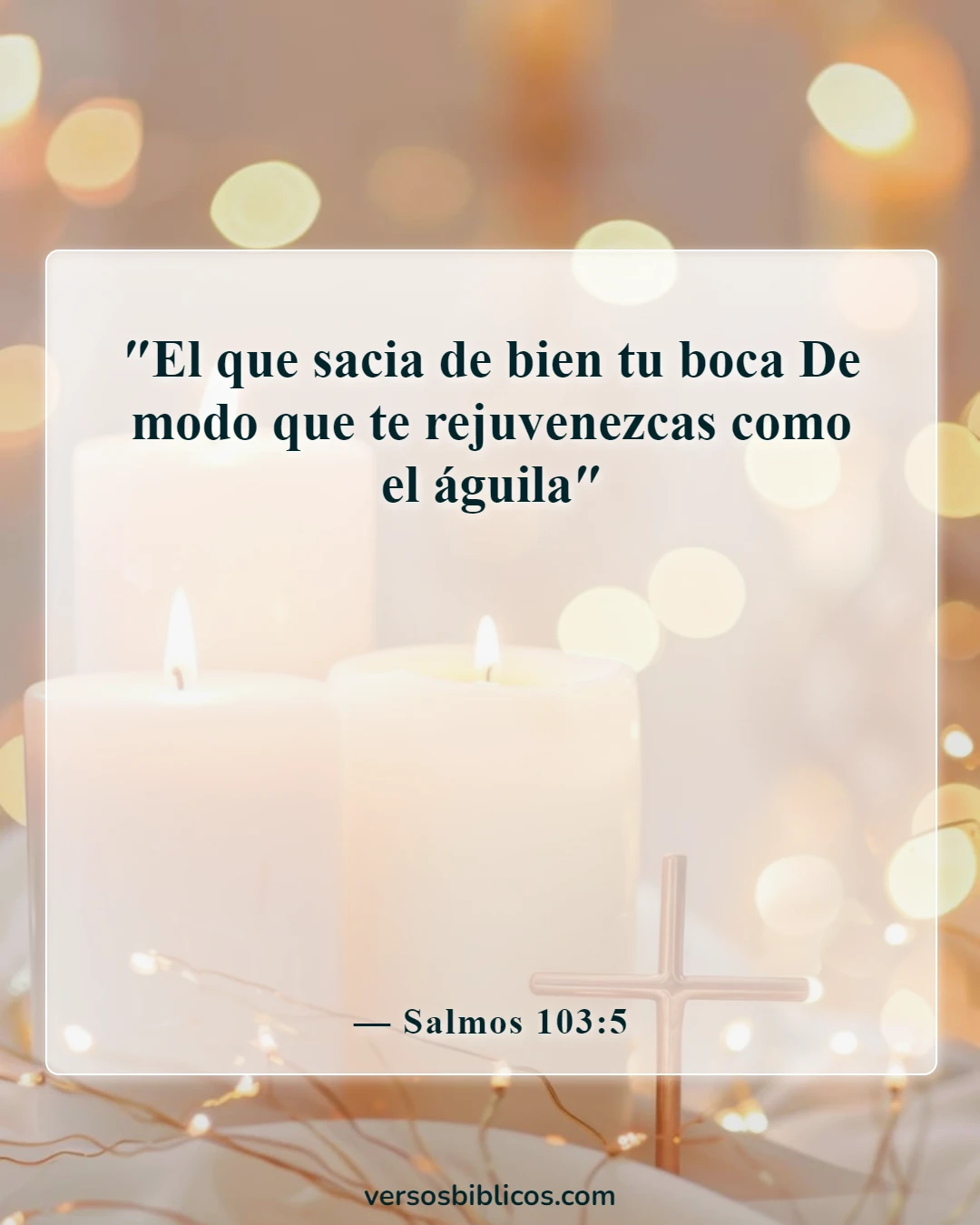 Versículos de la Biblia sobre el estrés y los tiempos difíciles (Salmos 103:5)