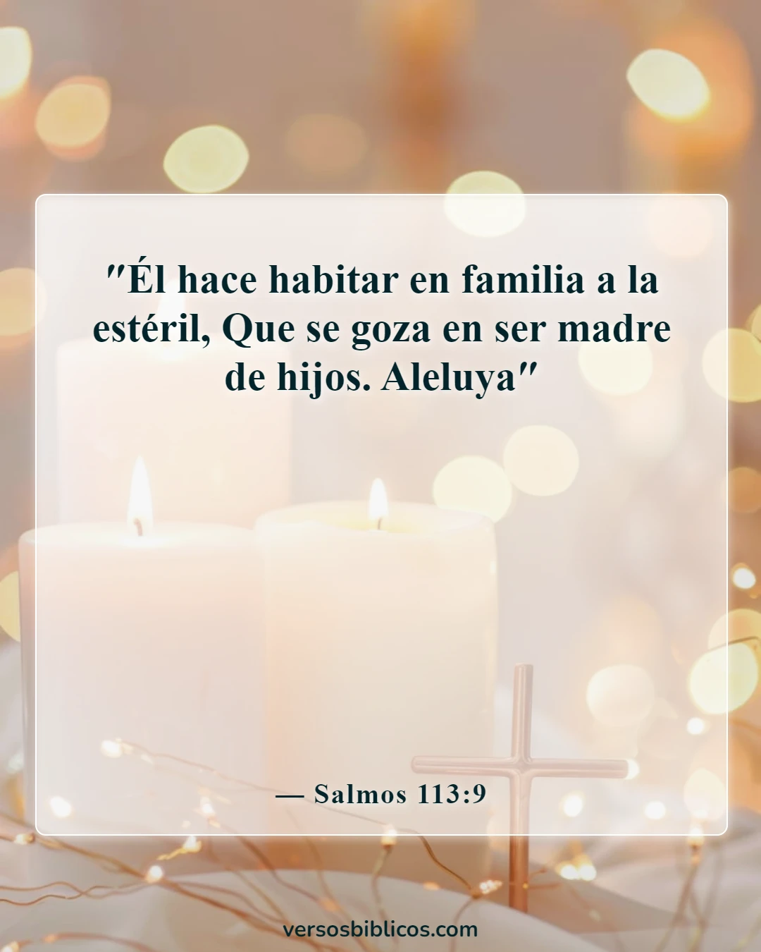 Versículos de la Biblia sobre problemas de fertilidad (Salmos 113:9)