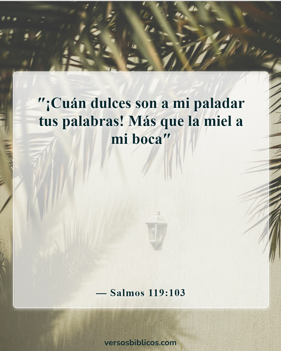 Versículos de la Biblia sobre alimento para el alma (Salmos 119:103)