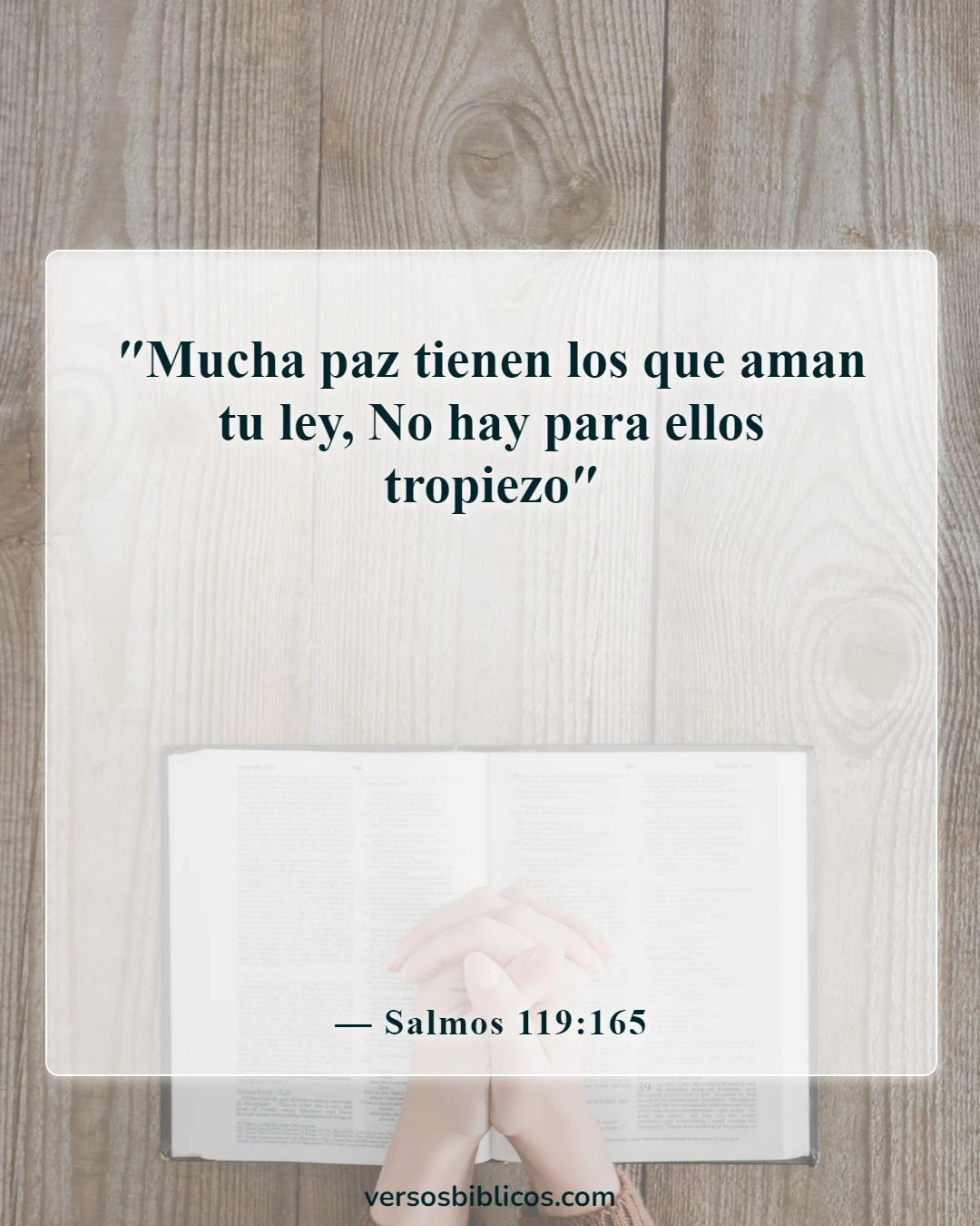 Versículos de la Biblia sobre la paz (Salmos 119:165)