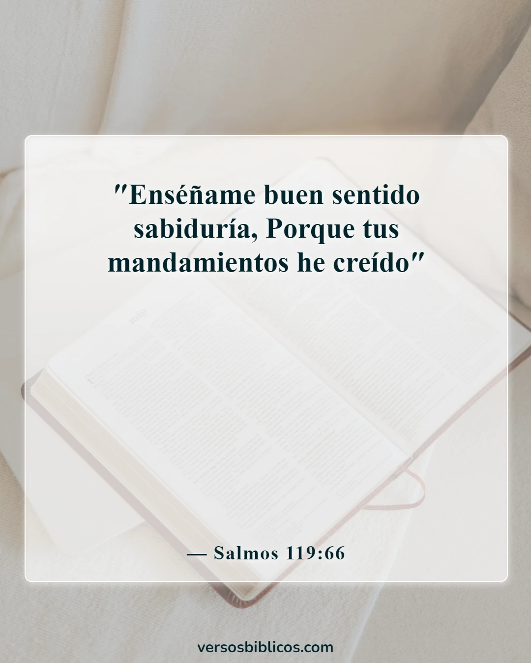 Versículos de la Biblia sobre el discernimiento (Salmos 119:66)