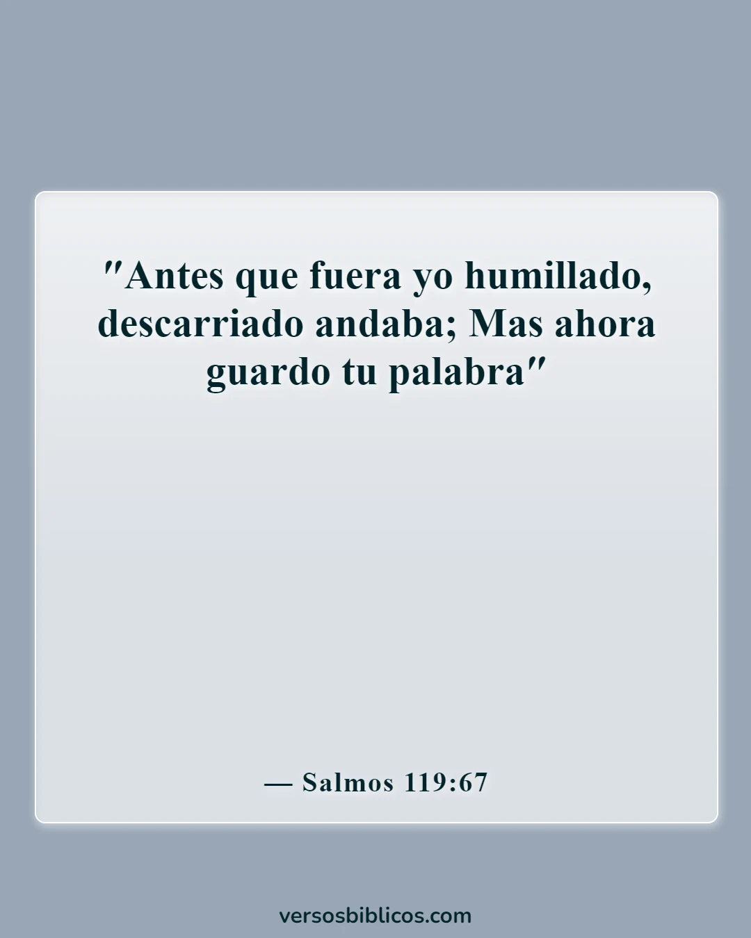 Versículos de la Biblia sobre la vida disciplinada (Salmos 119:67)