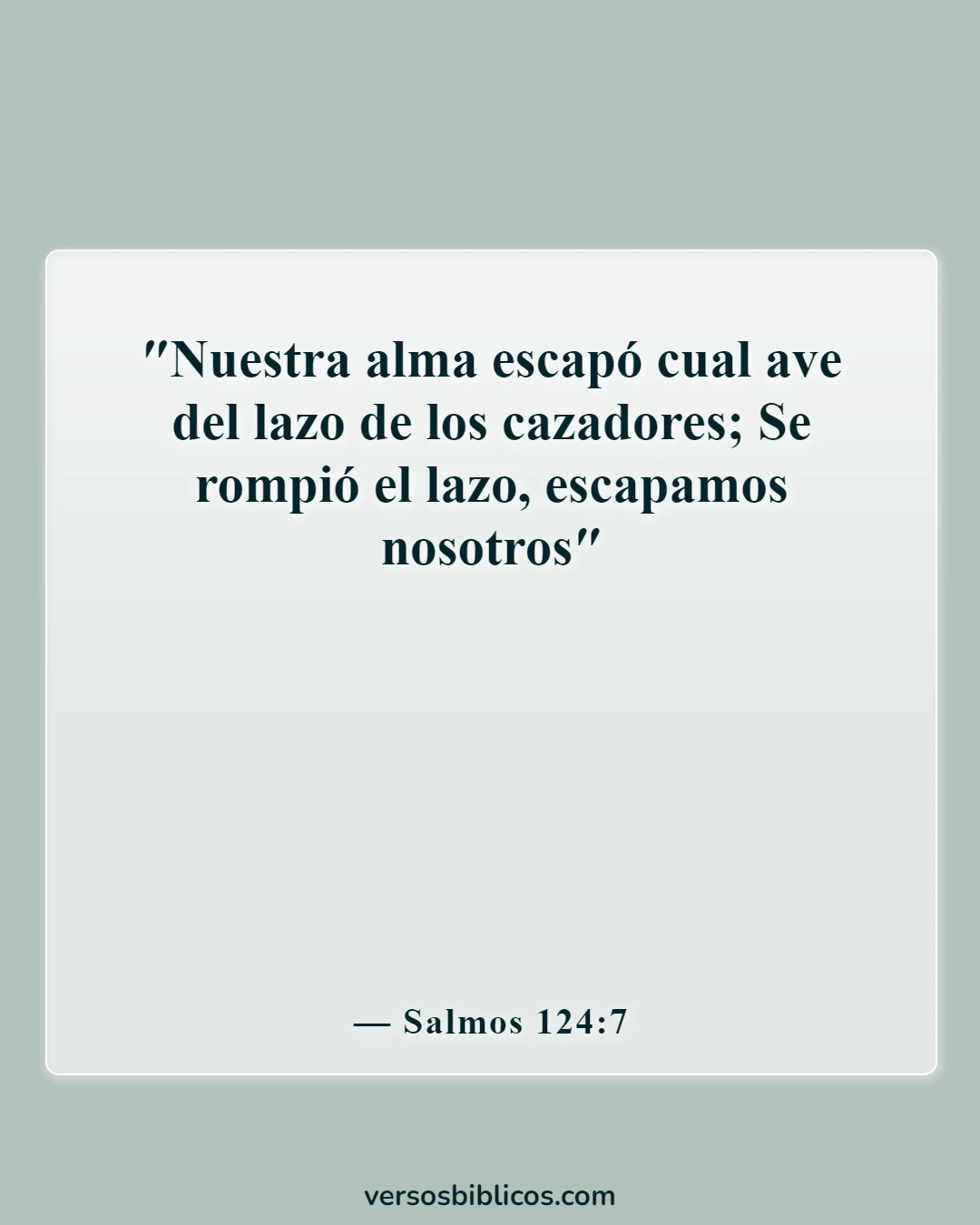 Versículos de la Biblia sobre los salmos más poderosos contra los enemigos (Salmos 124:7)