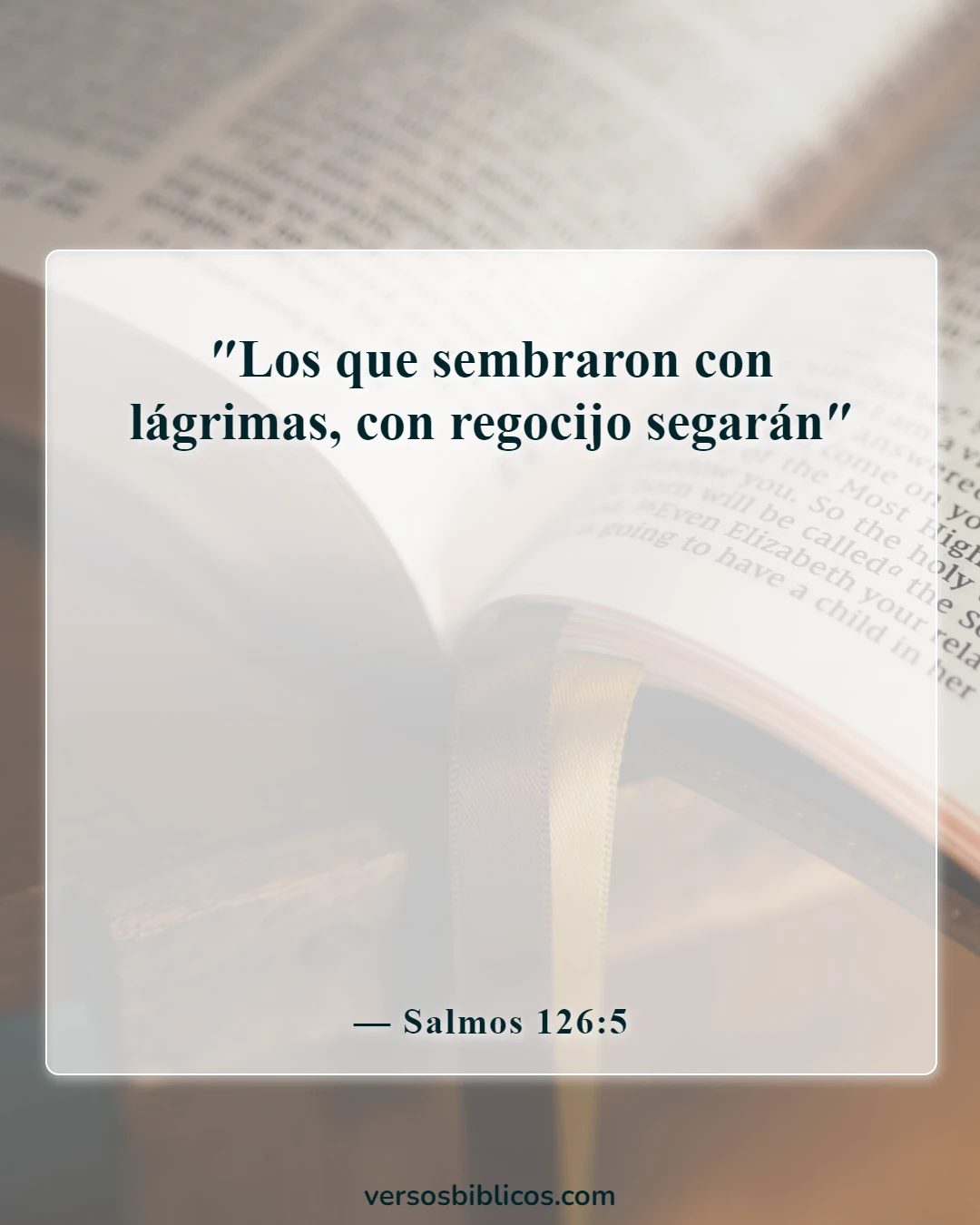 Versículos de la Biblia sobre la alegría (Salmos 126:5)