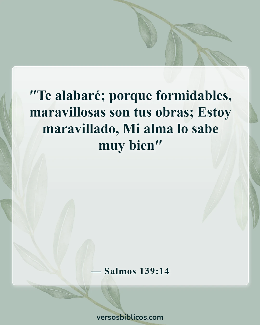 Versículos de la Biblia sobre el respeto (Salmos 139:14)